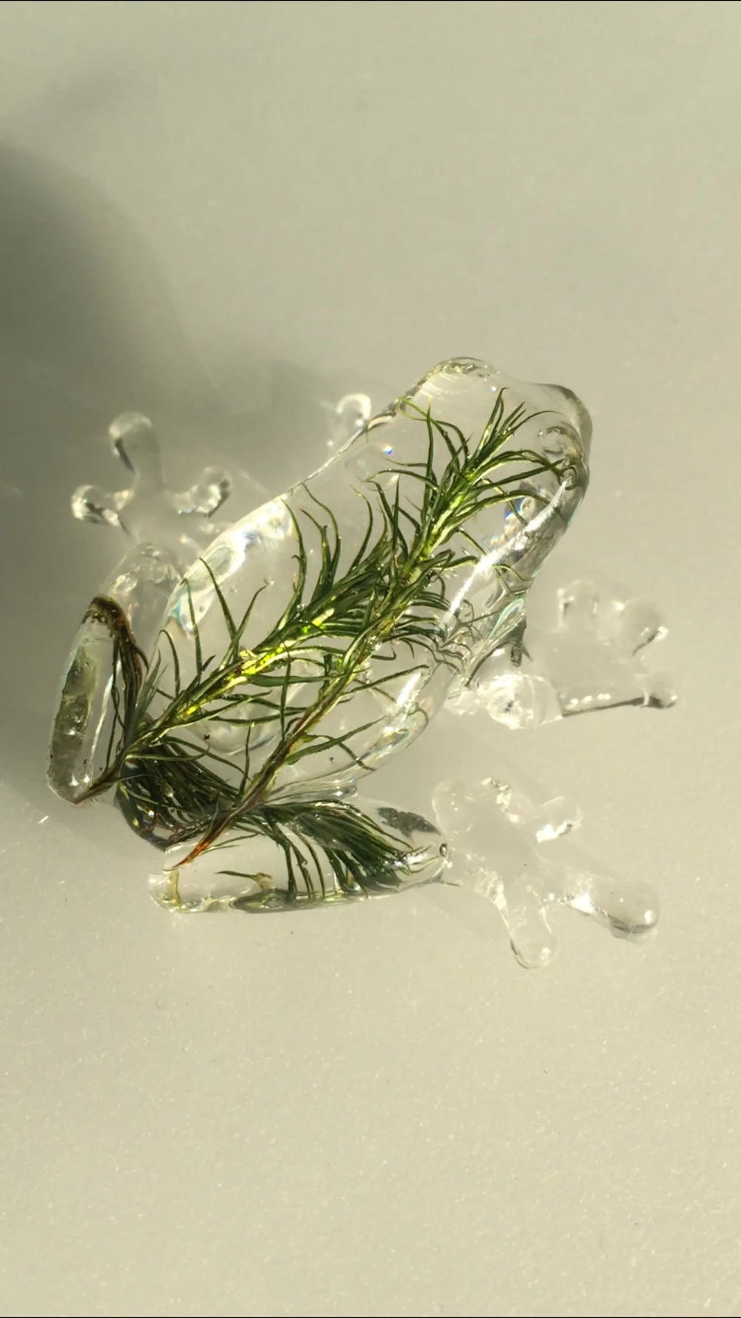 Frog silicone mold / Resin mold