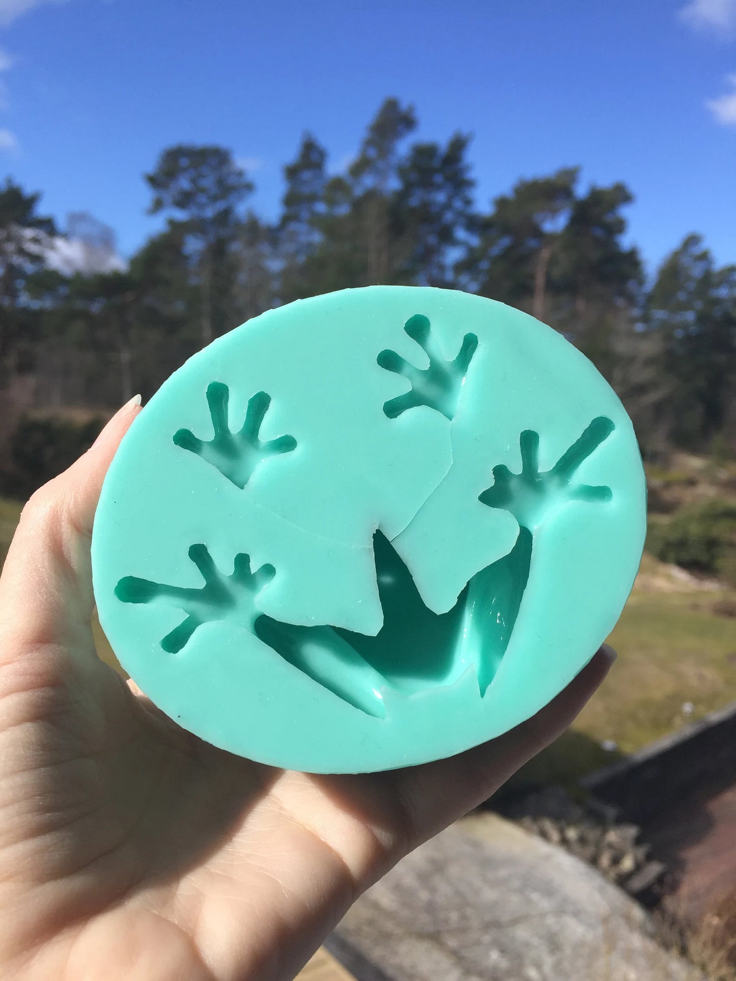 Frog silicone mold / Resin mold