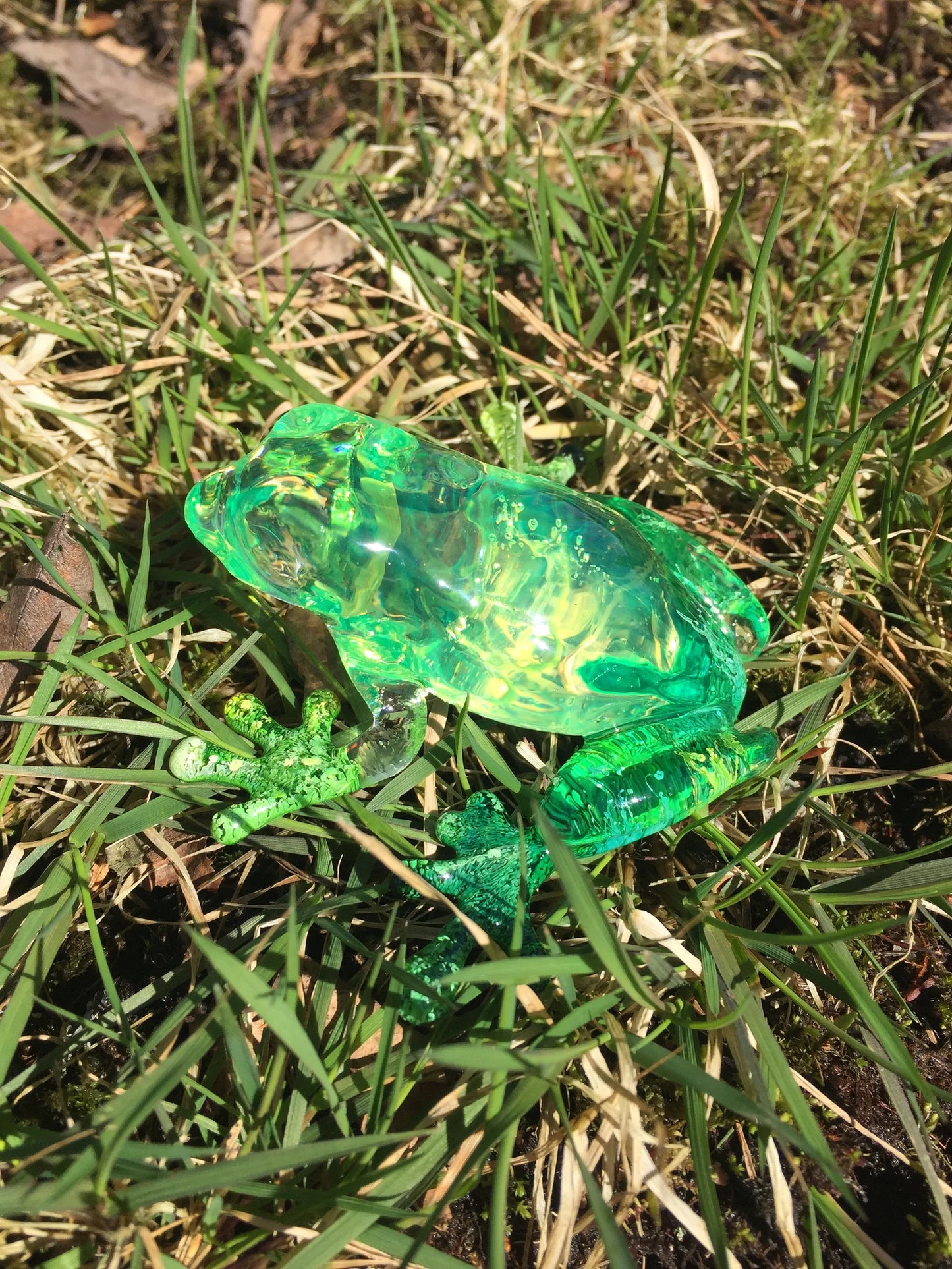 Frog silicone mold / Resin mold