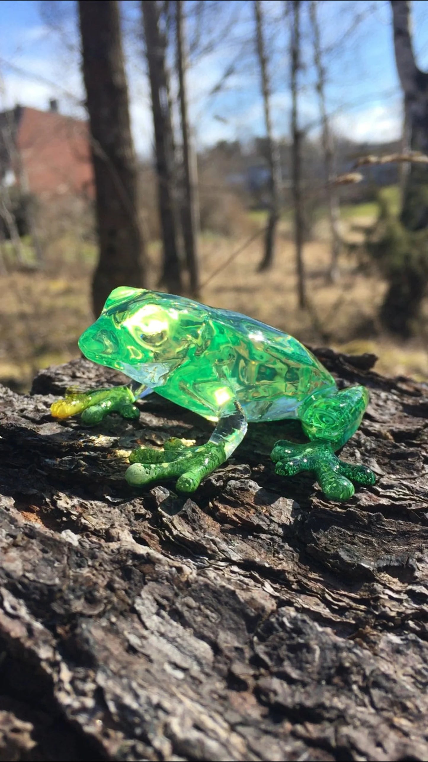 Frog silicone mold / Resin mold