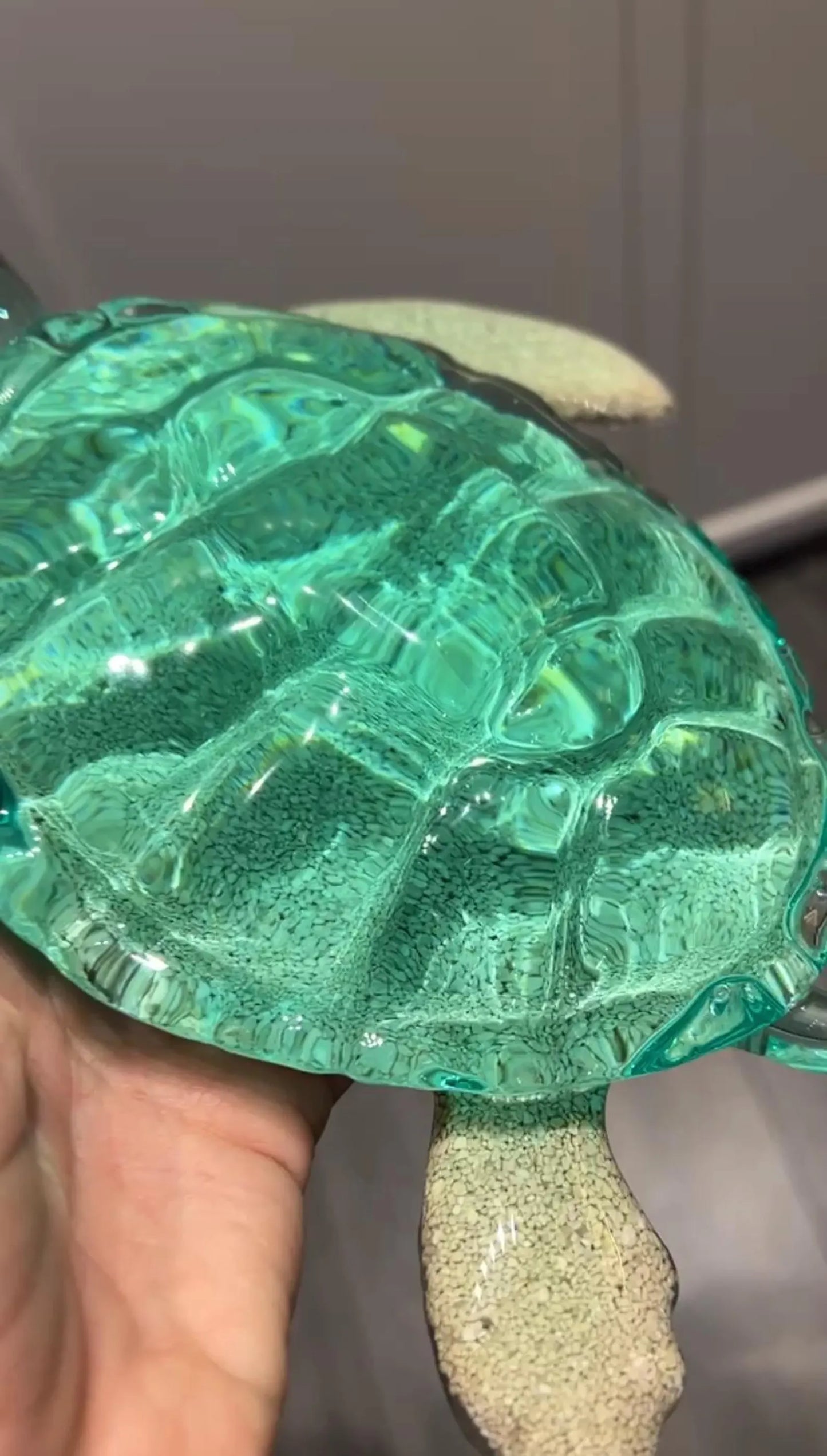 BIG Ocean sand Turtle 23 cm
