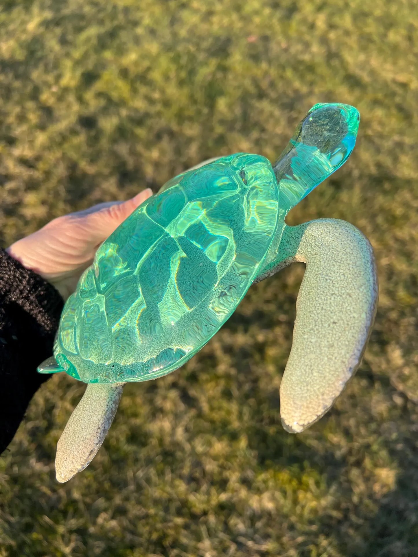 BIG Ocean sand Turtle 23 cm