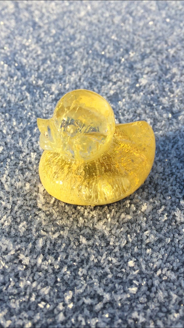 Duck silicone mold / Resin mold