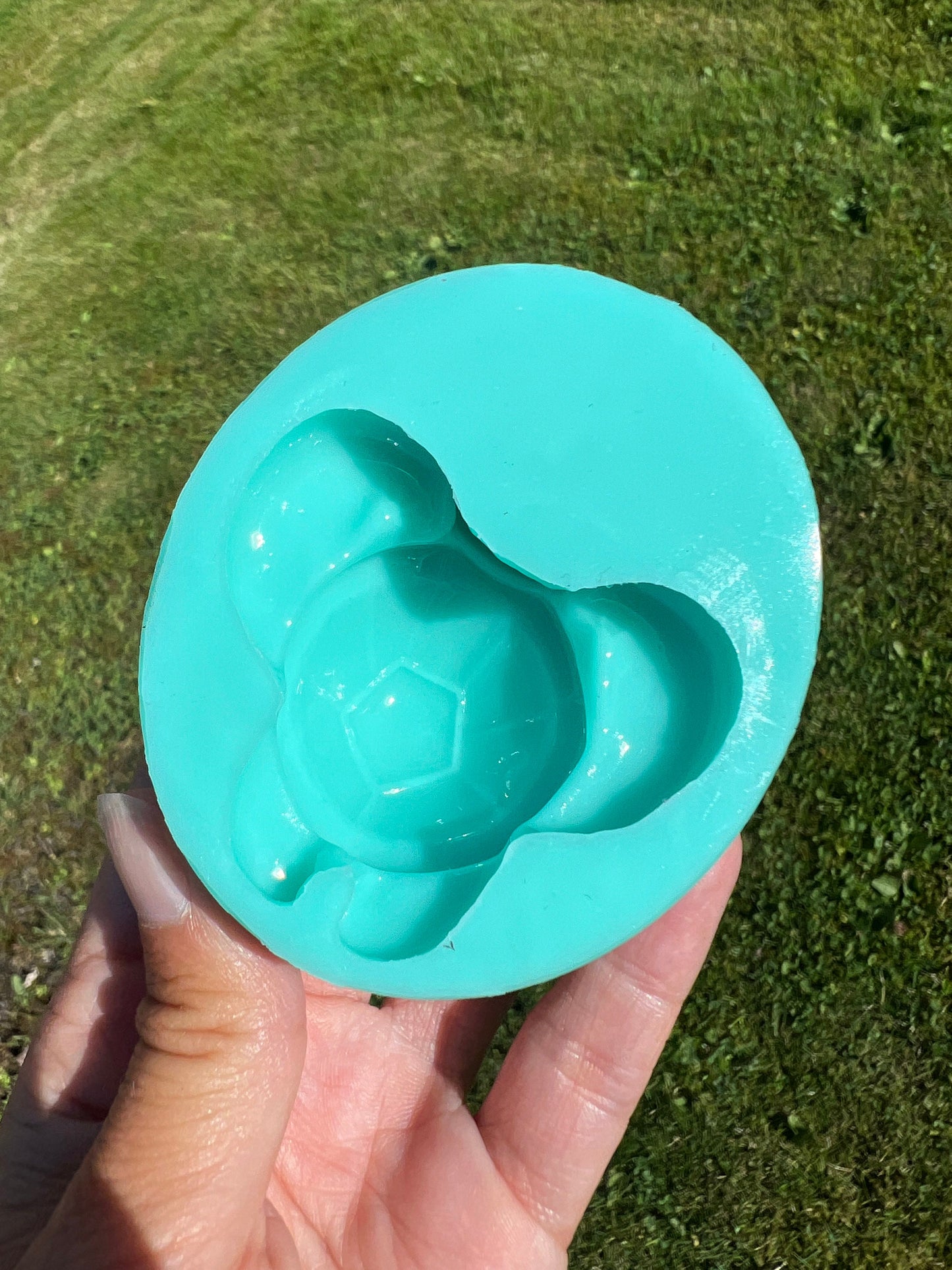 Turtle silicone mold / Resin mold