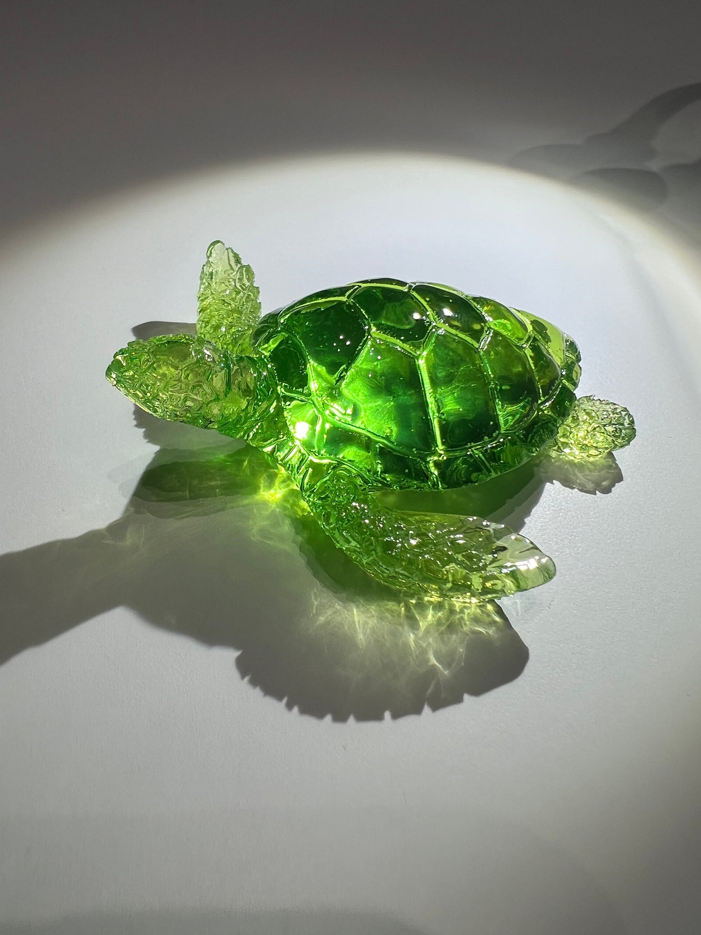 Turtle silicone mold / Resin mold