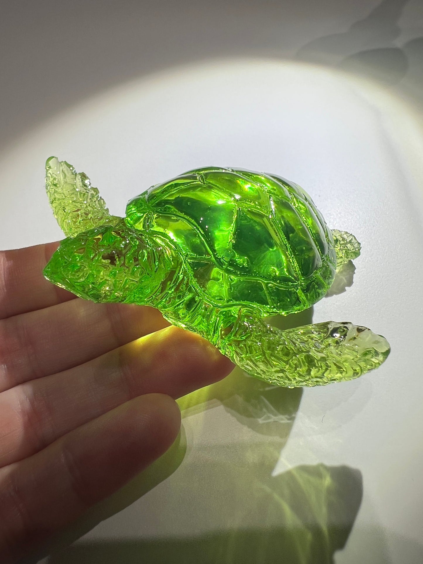 Turtle silicone mold / Resin mold