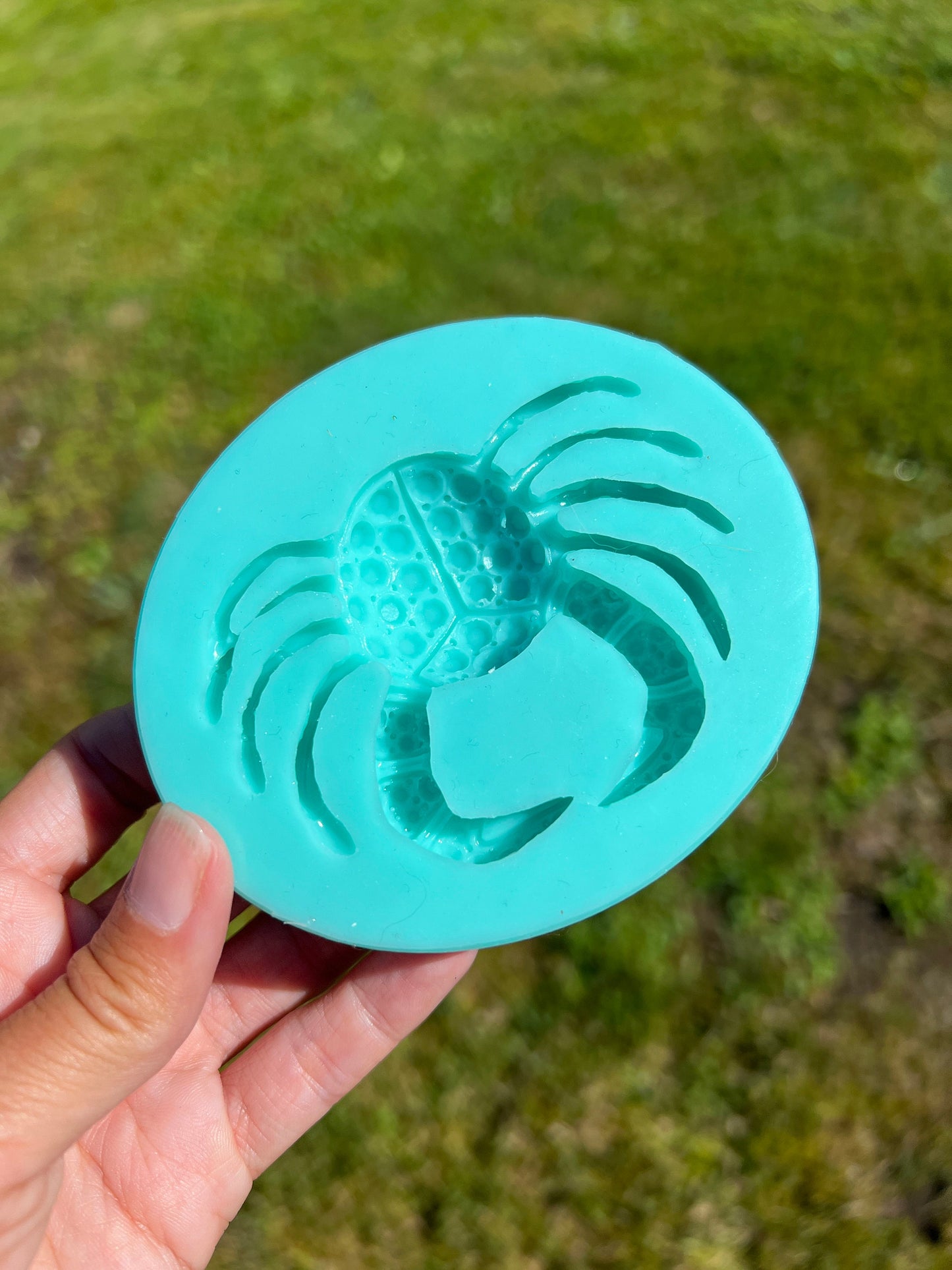 Crystal crab mold- silicone mold / Resin crab mold