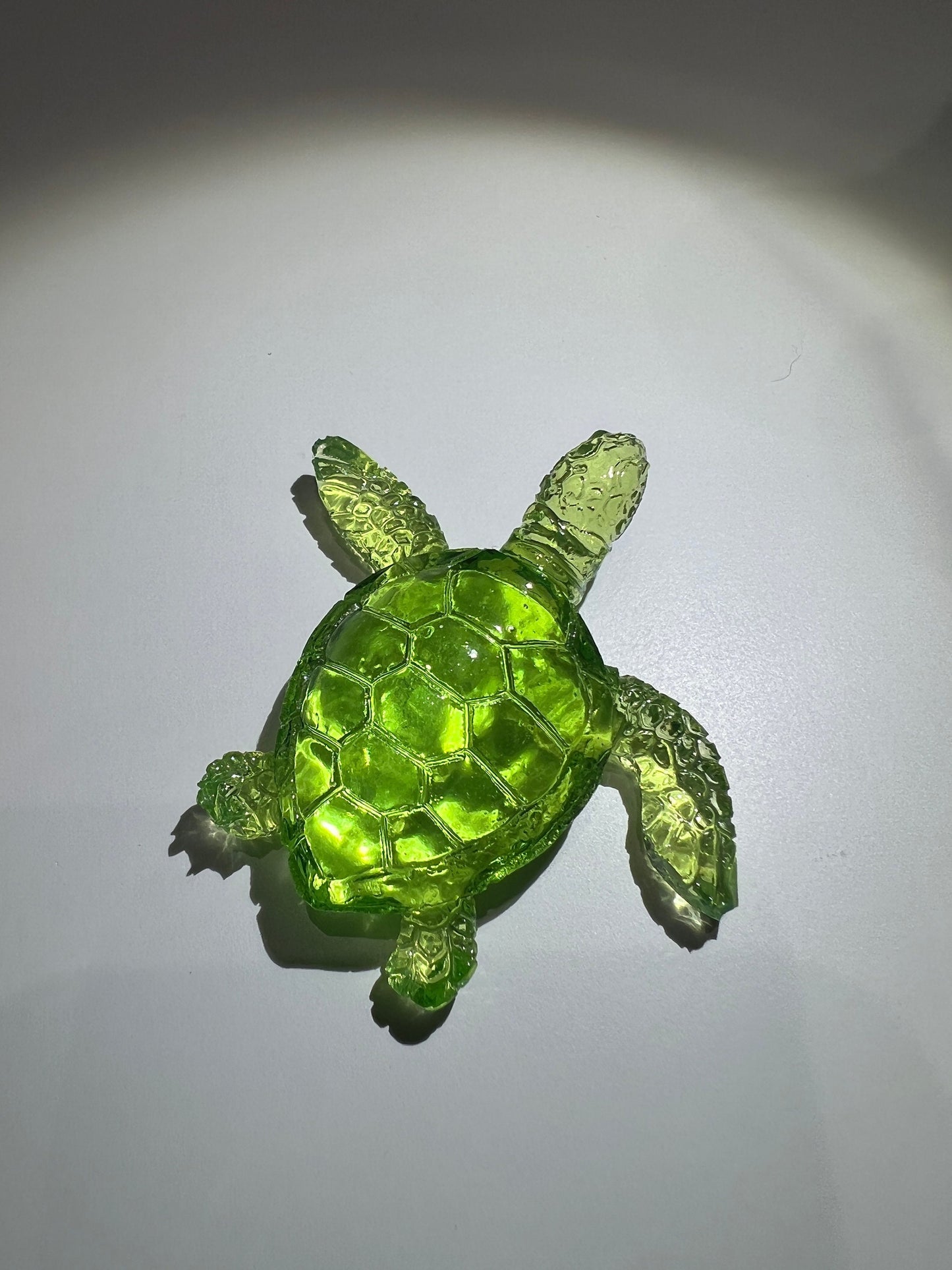 Turtle silicone mold / Resin mold