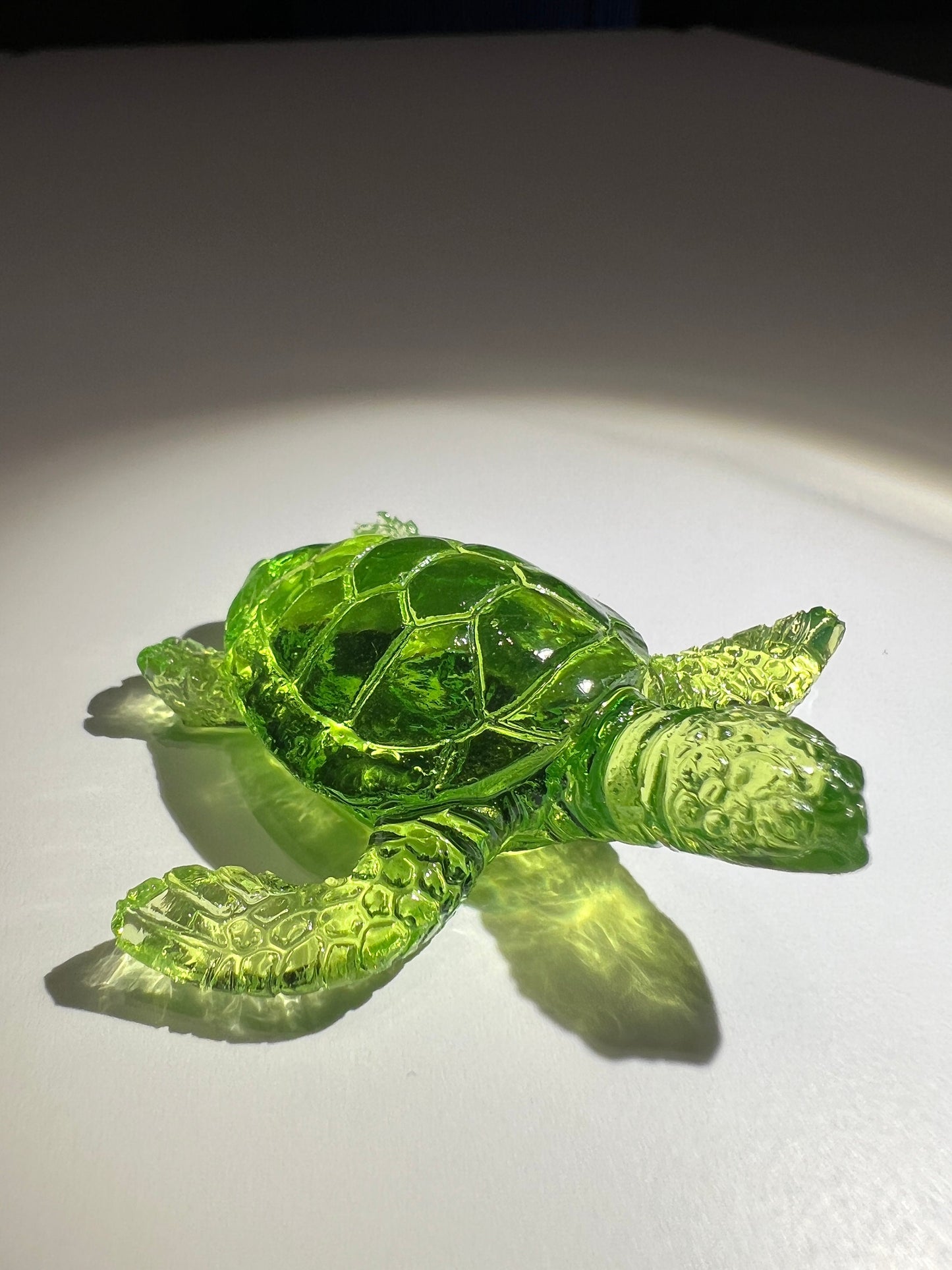 Turtle silicone mold / Resin mold
