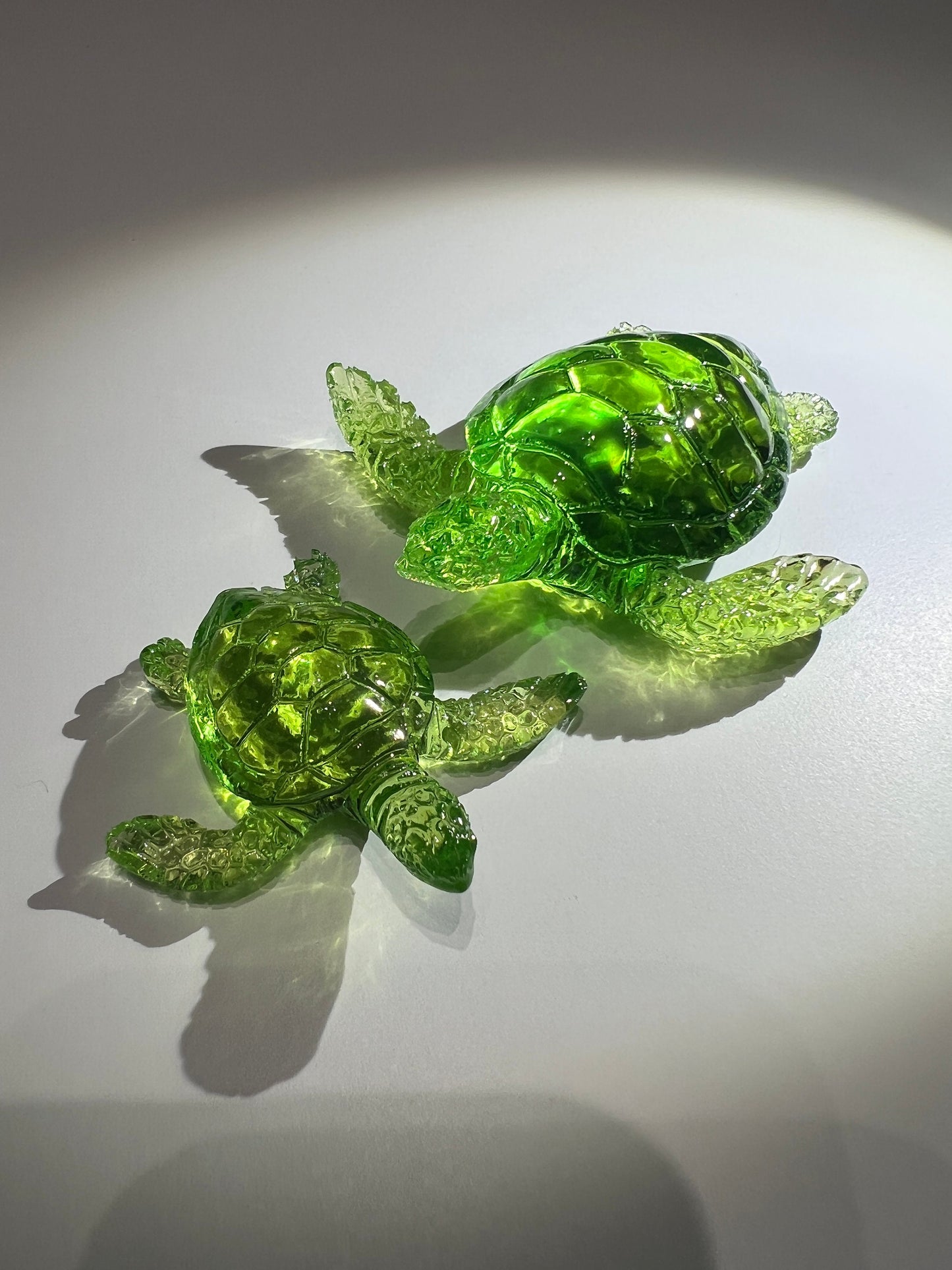 Turtle silicone mold / Resin mold