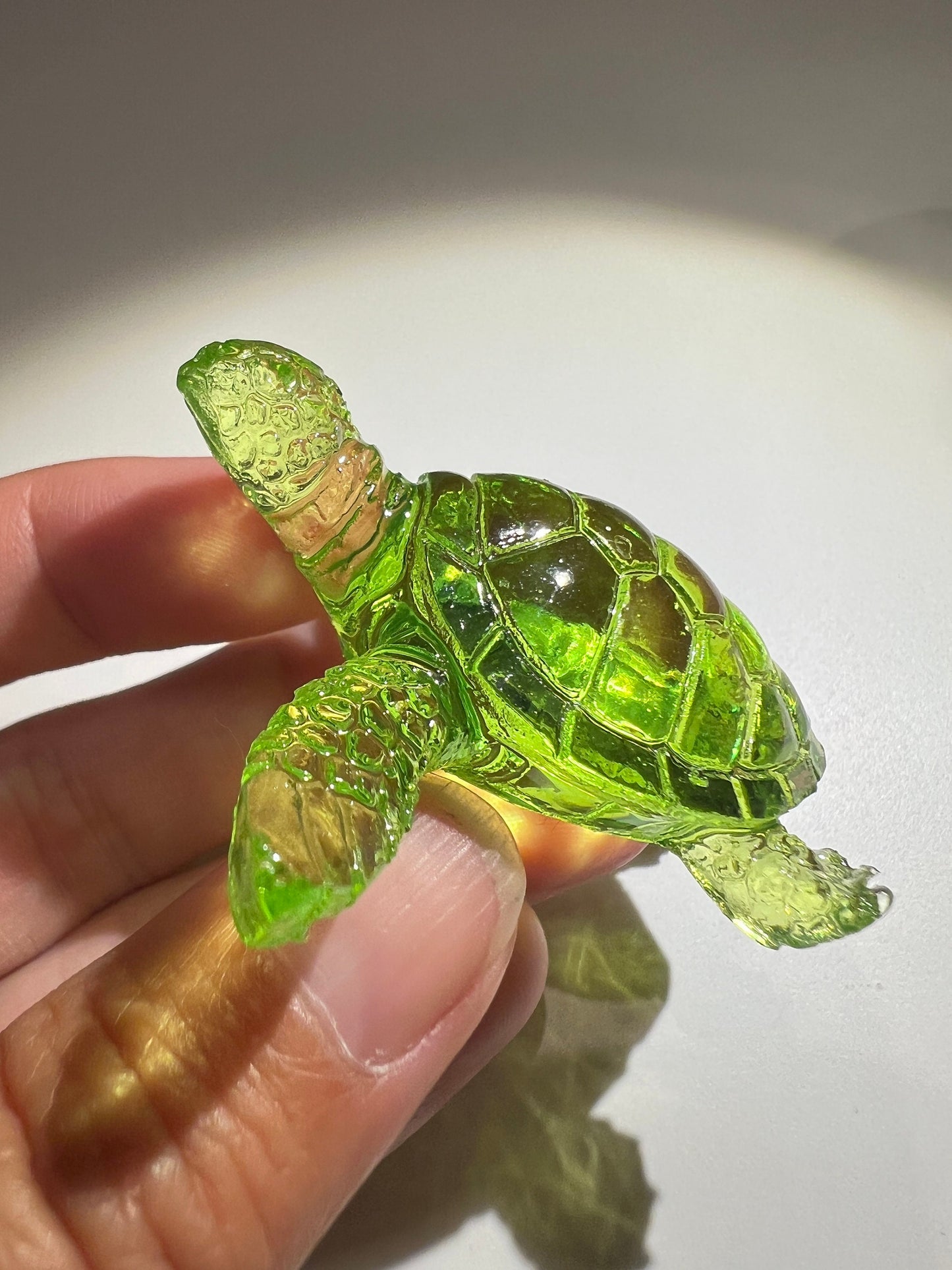 Turtle silicone mold / Resin mold