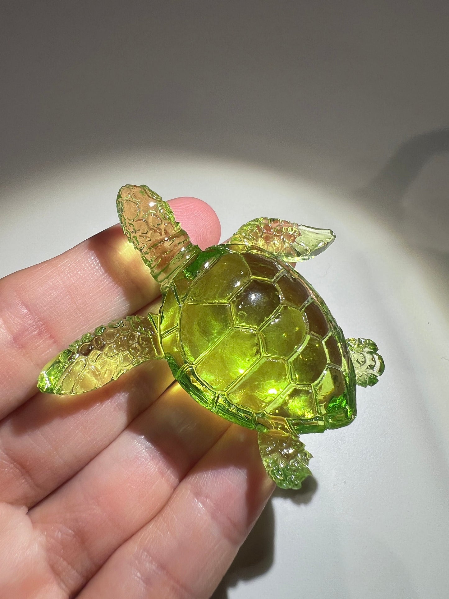 Turtle silicone mold / Resin mold