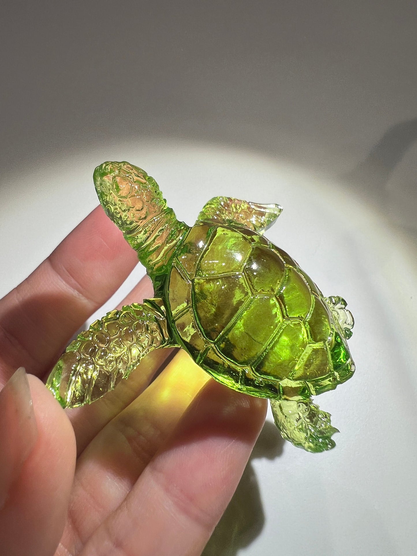 Turtle silicone mold / Resin mold