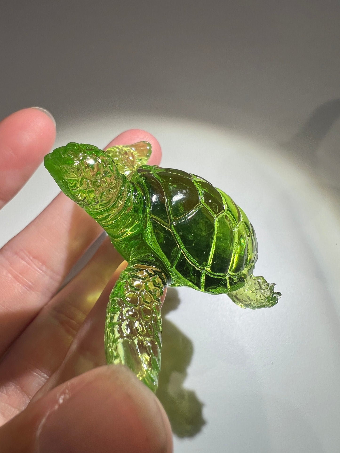 Turtle silicone mold / Resin mold