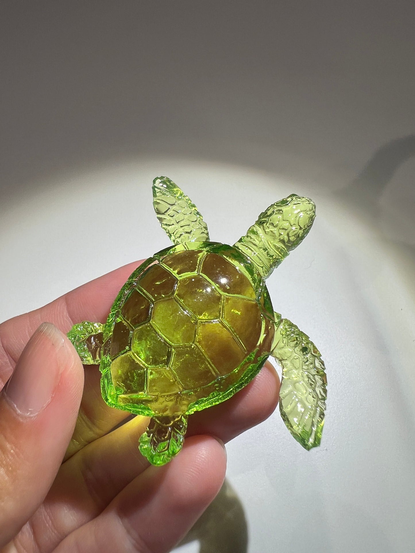 Turtle silicone mold / Resin mold
