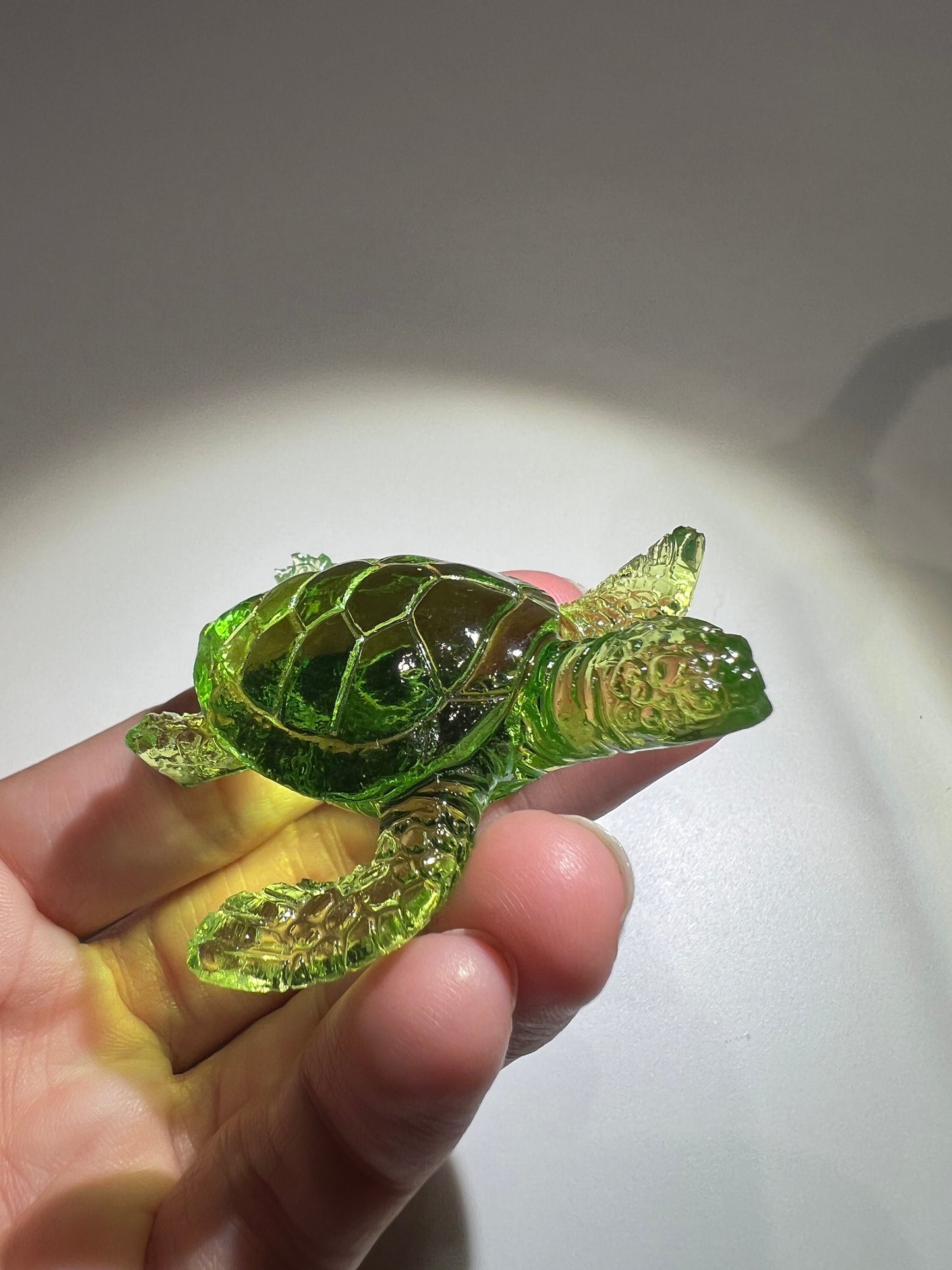 Turtle silicone mold / Resin mold