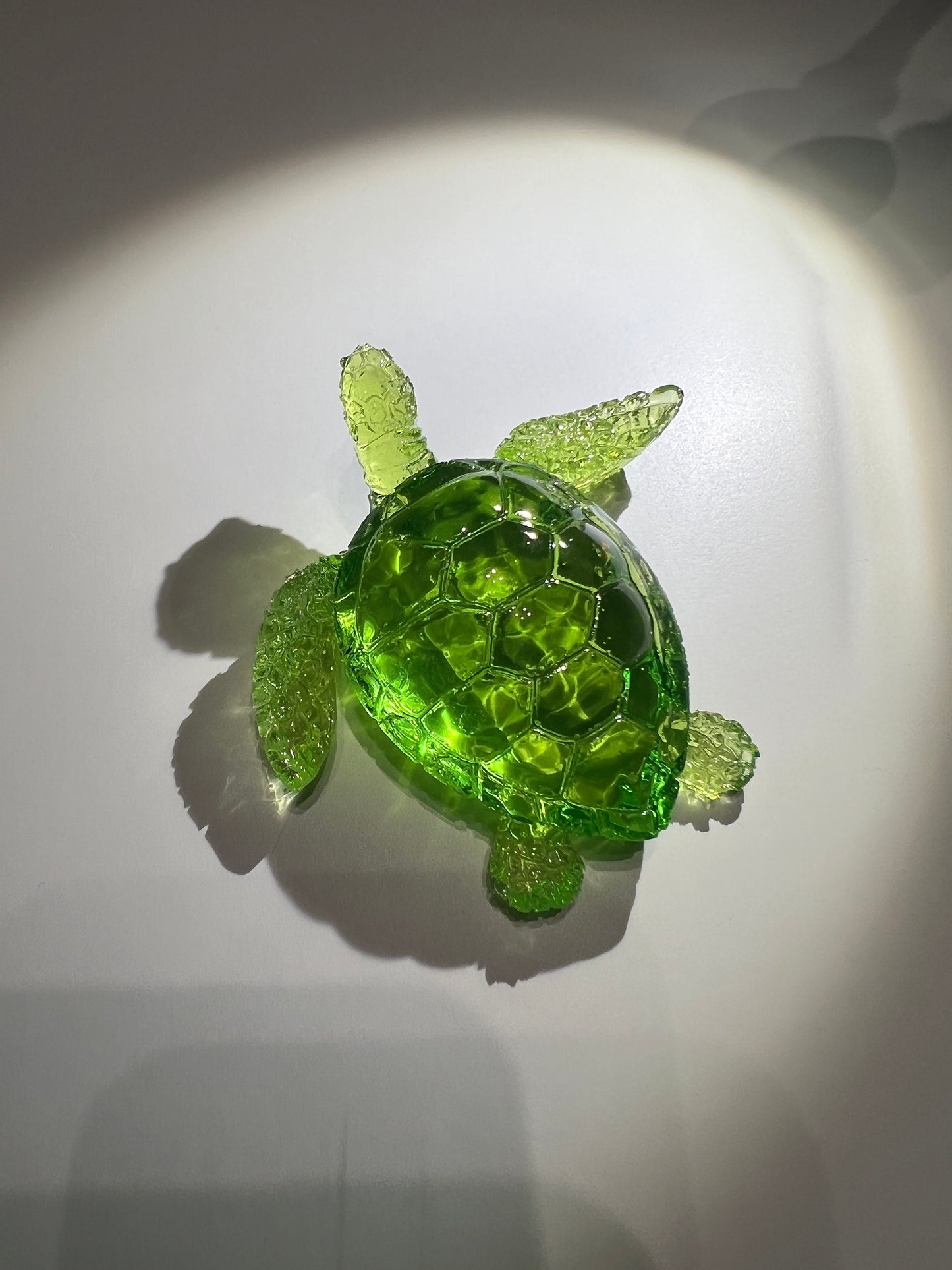 Turtle silicone mold / Resin mold