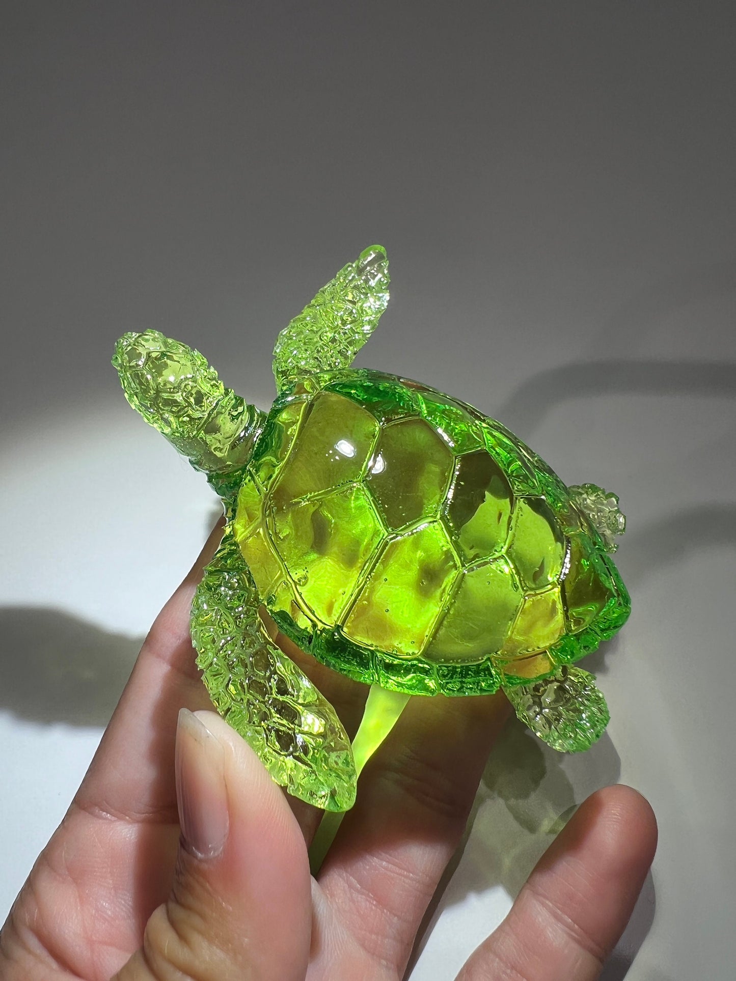 Turtle silicone mold / Resin mold