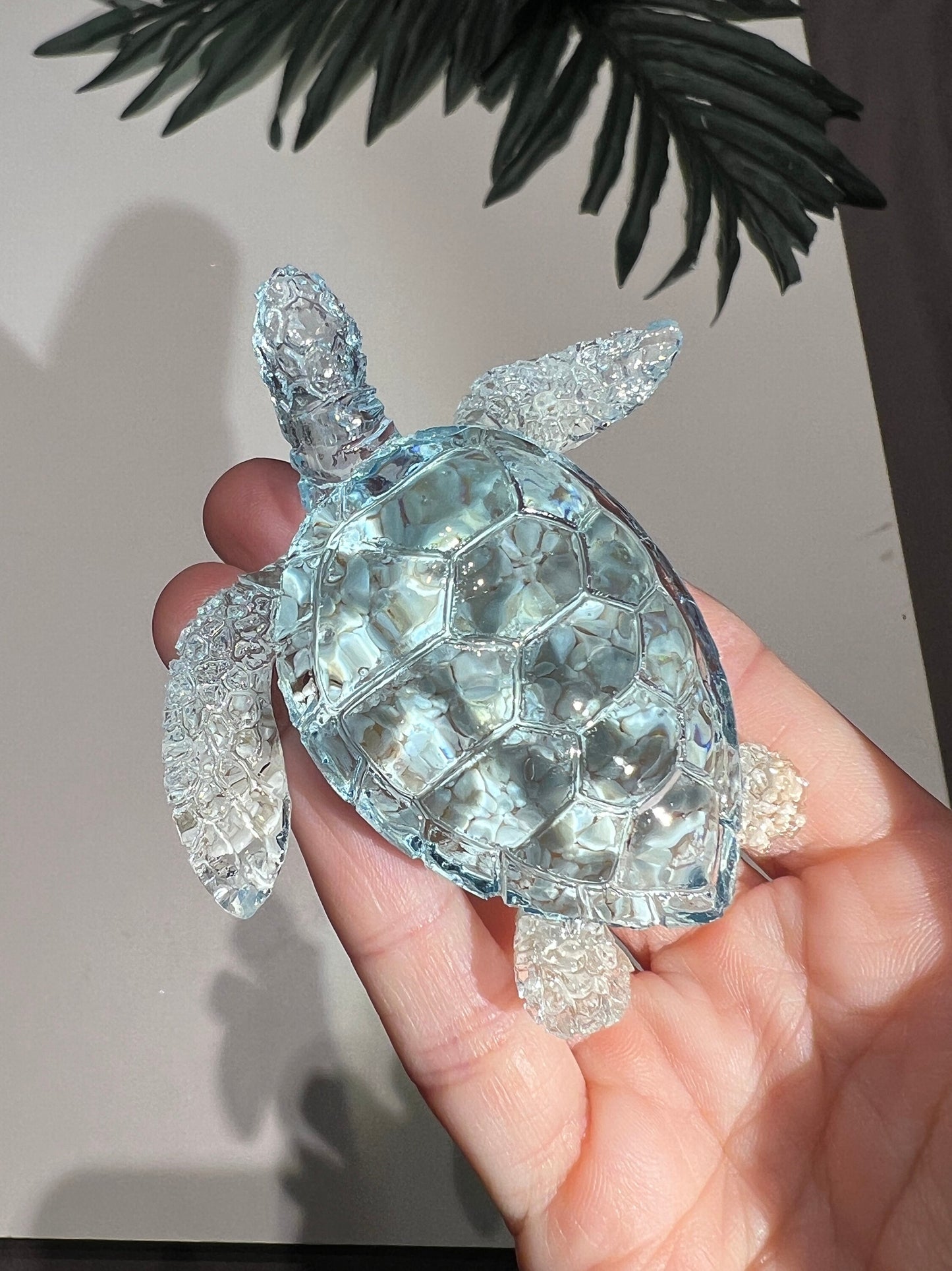 Ocean Turtle - medium