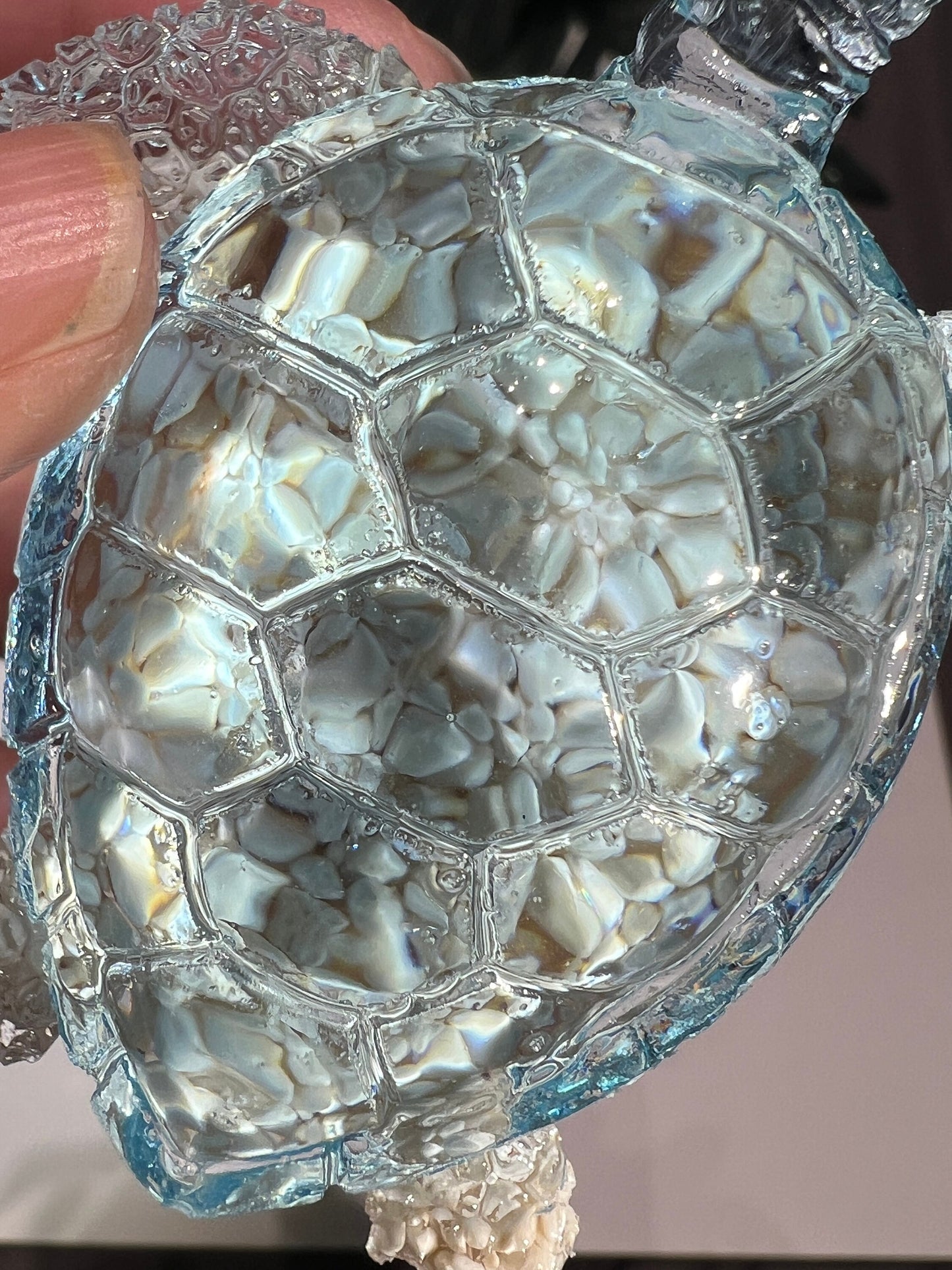 Ocean Turtle - medium
