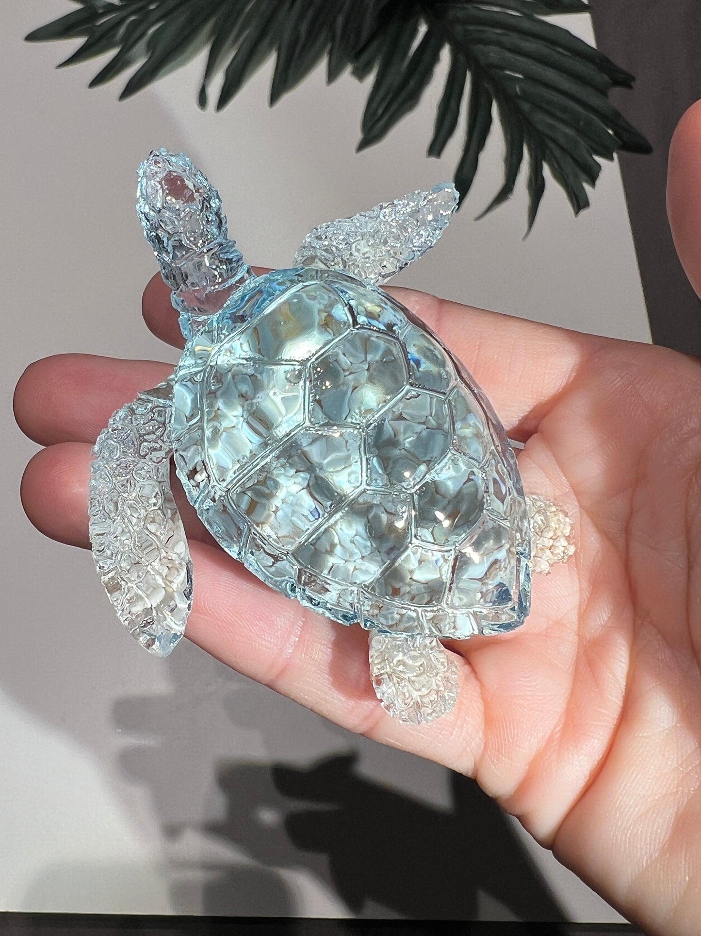 Ocean Turtle - medium