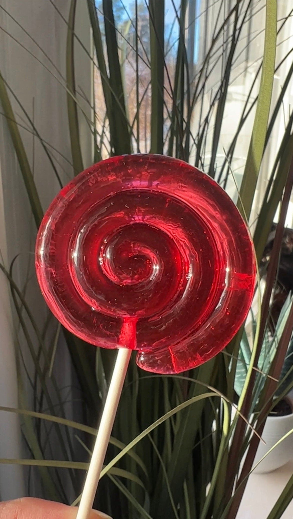 lollipop silicone mold / Resin mold