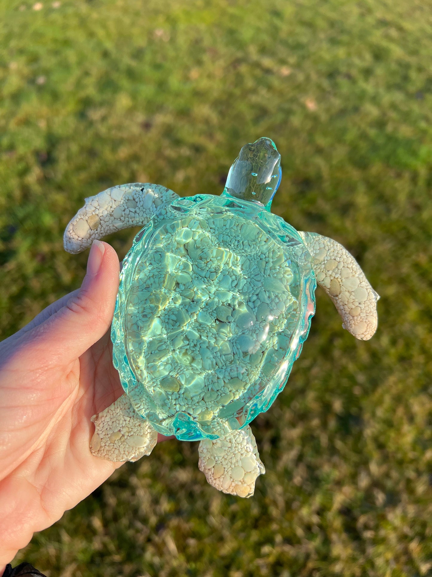 Ocean Turtle -X- large