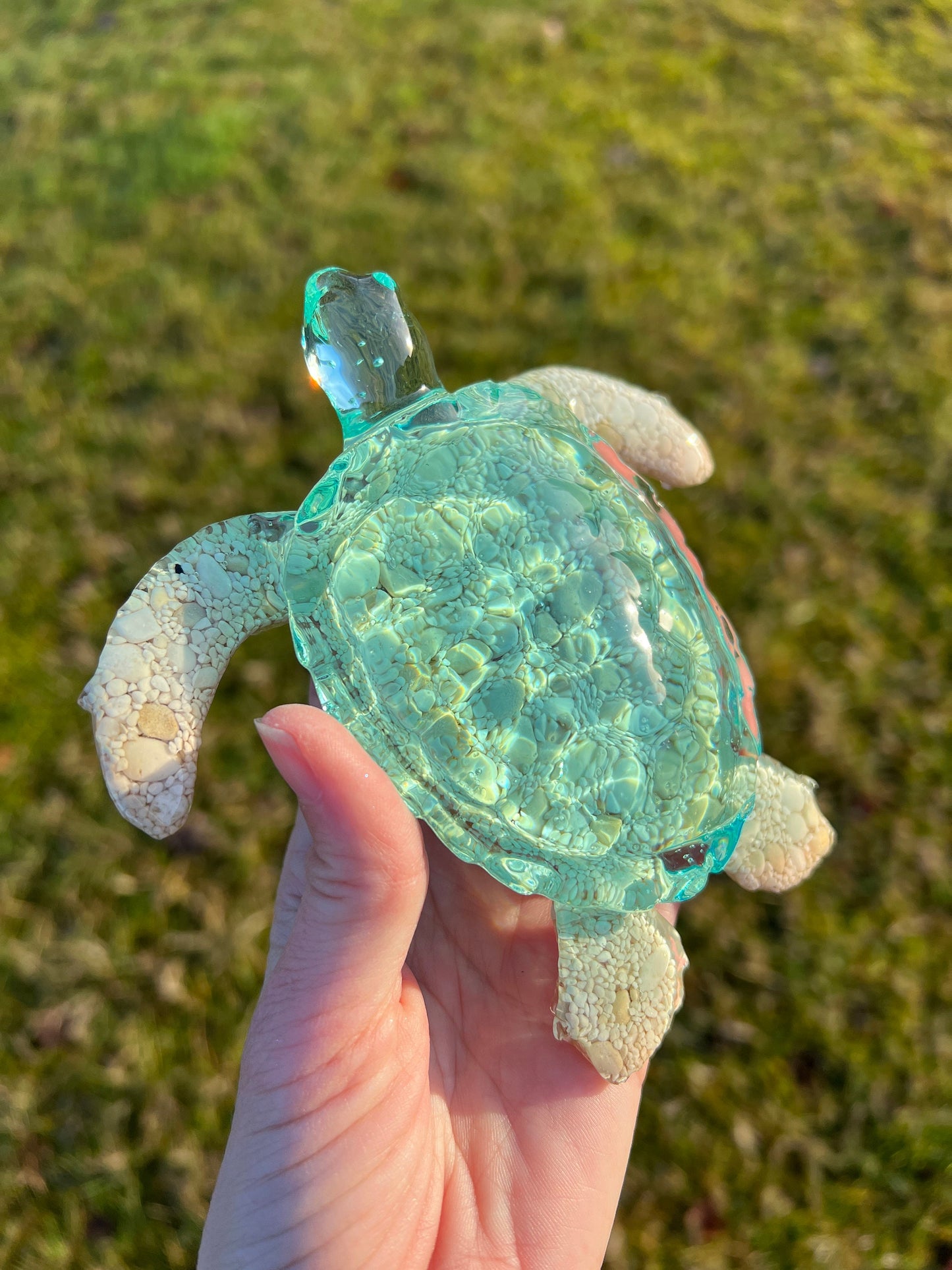 Ocean Turtle -X- large
