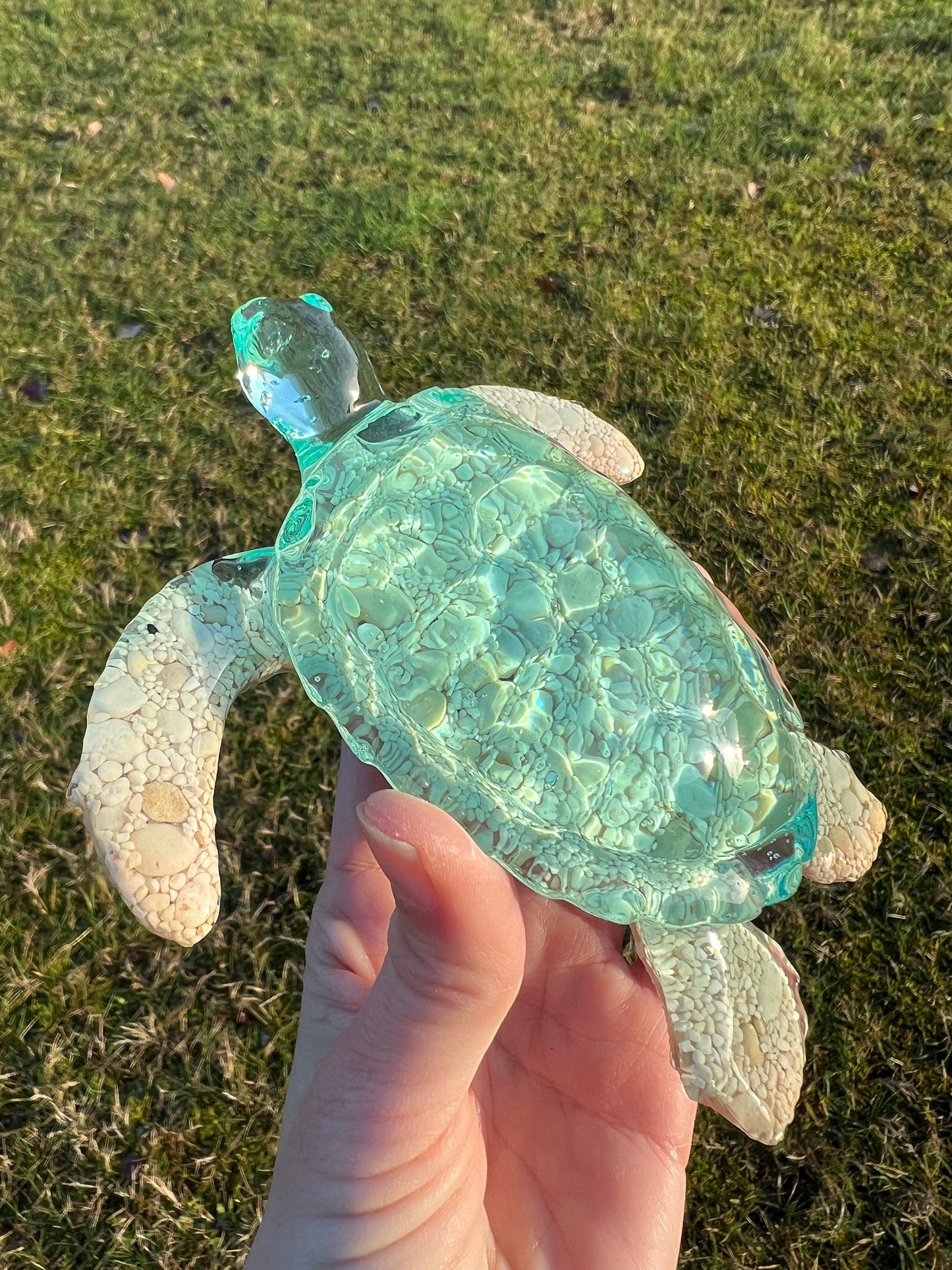 Ocean Turtle -X- large