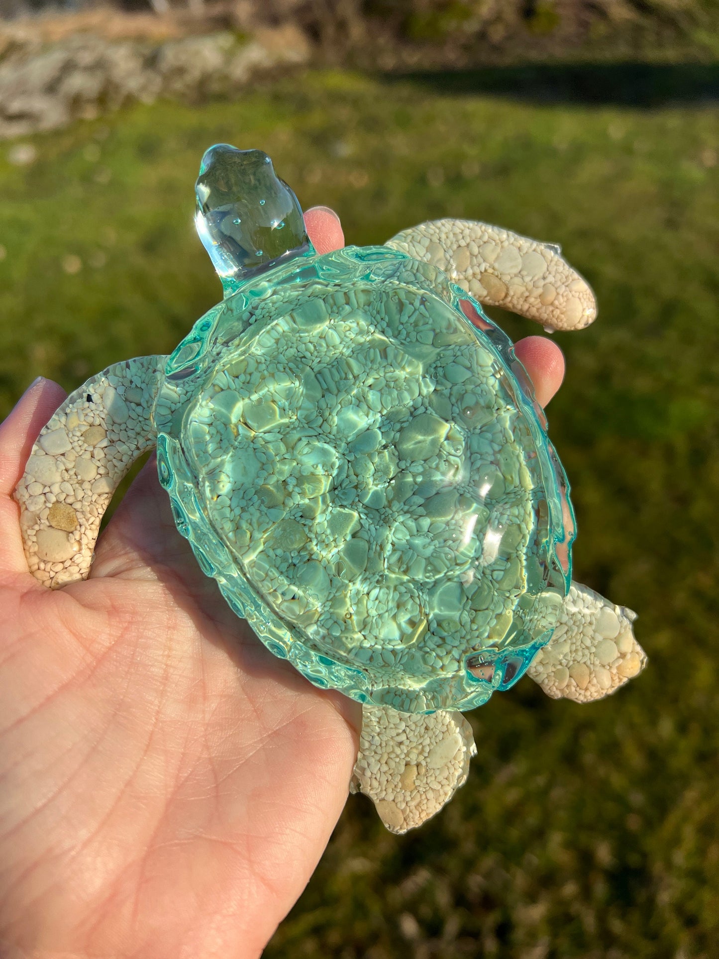 Ocean Turtle -X- large