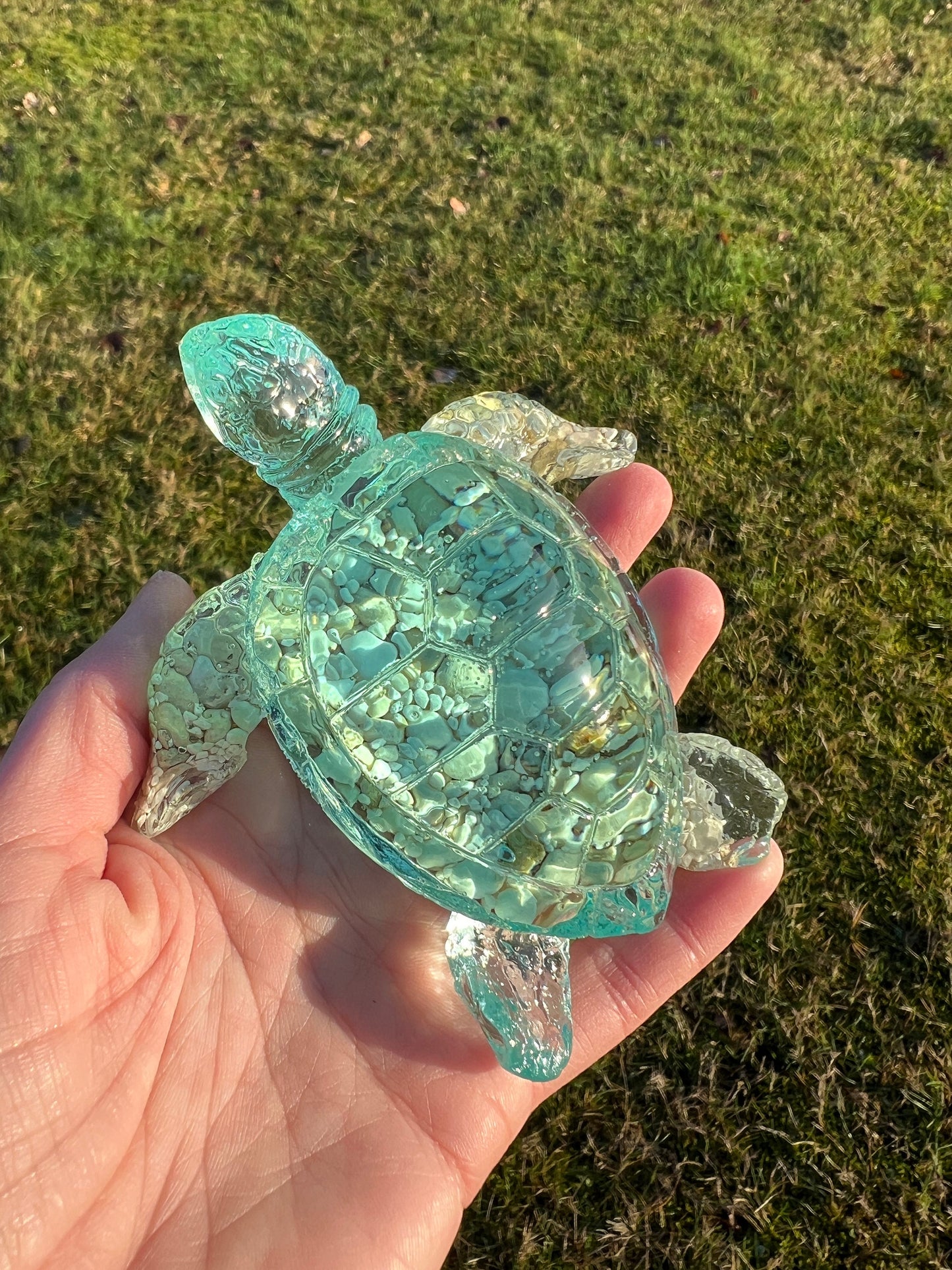 Ocean Turtle - large