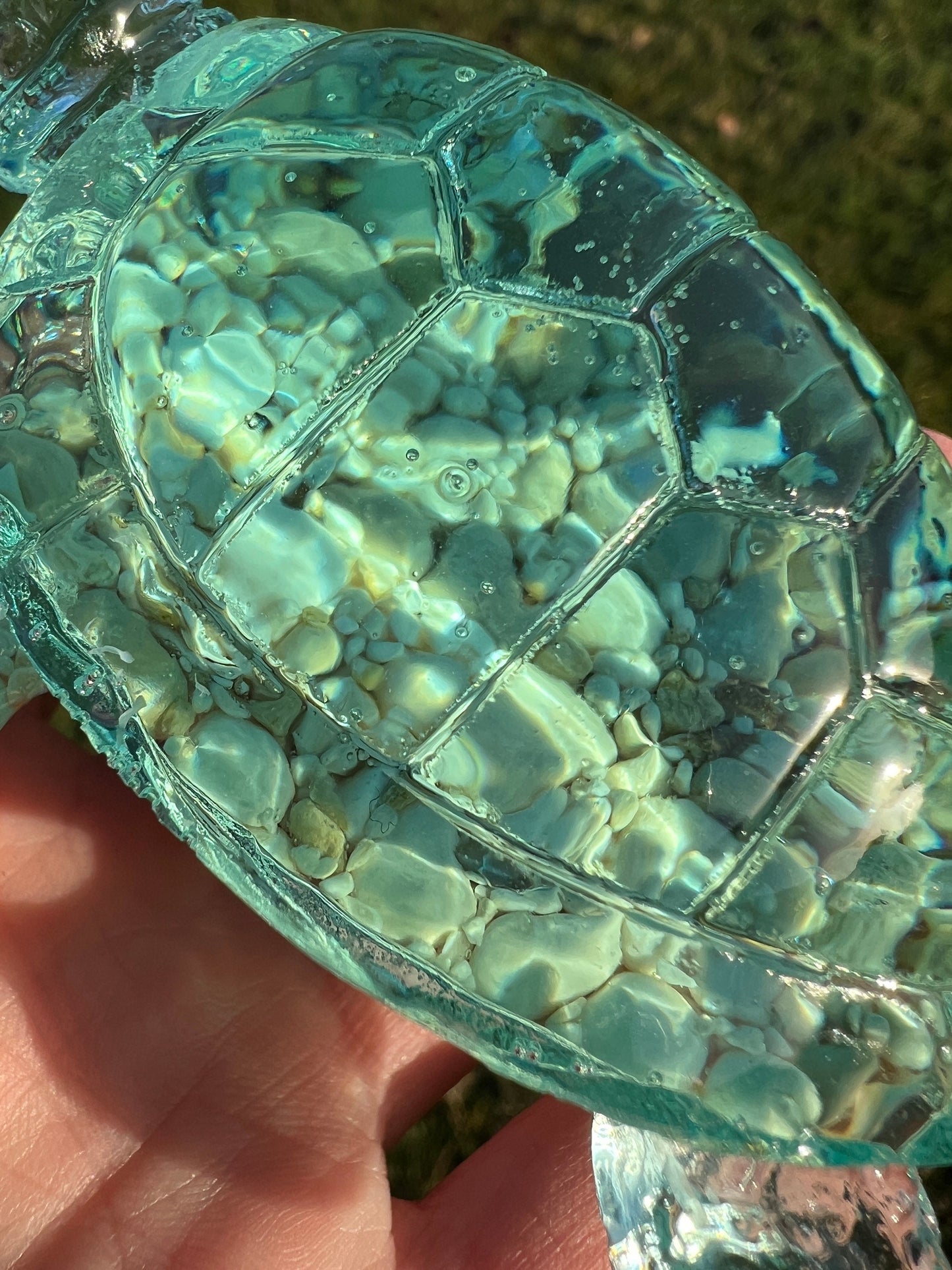 Ocean Turtle - large