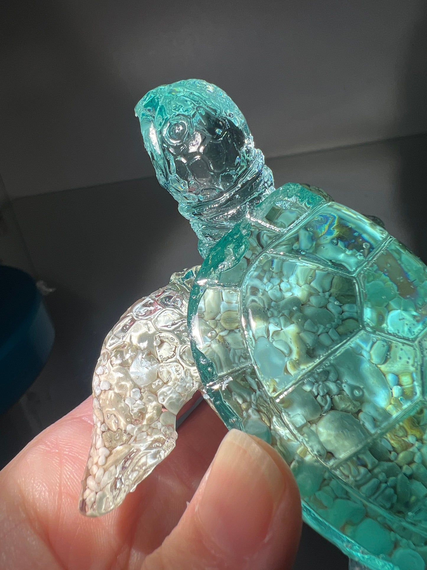 Ocean Turtle - large