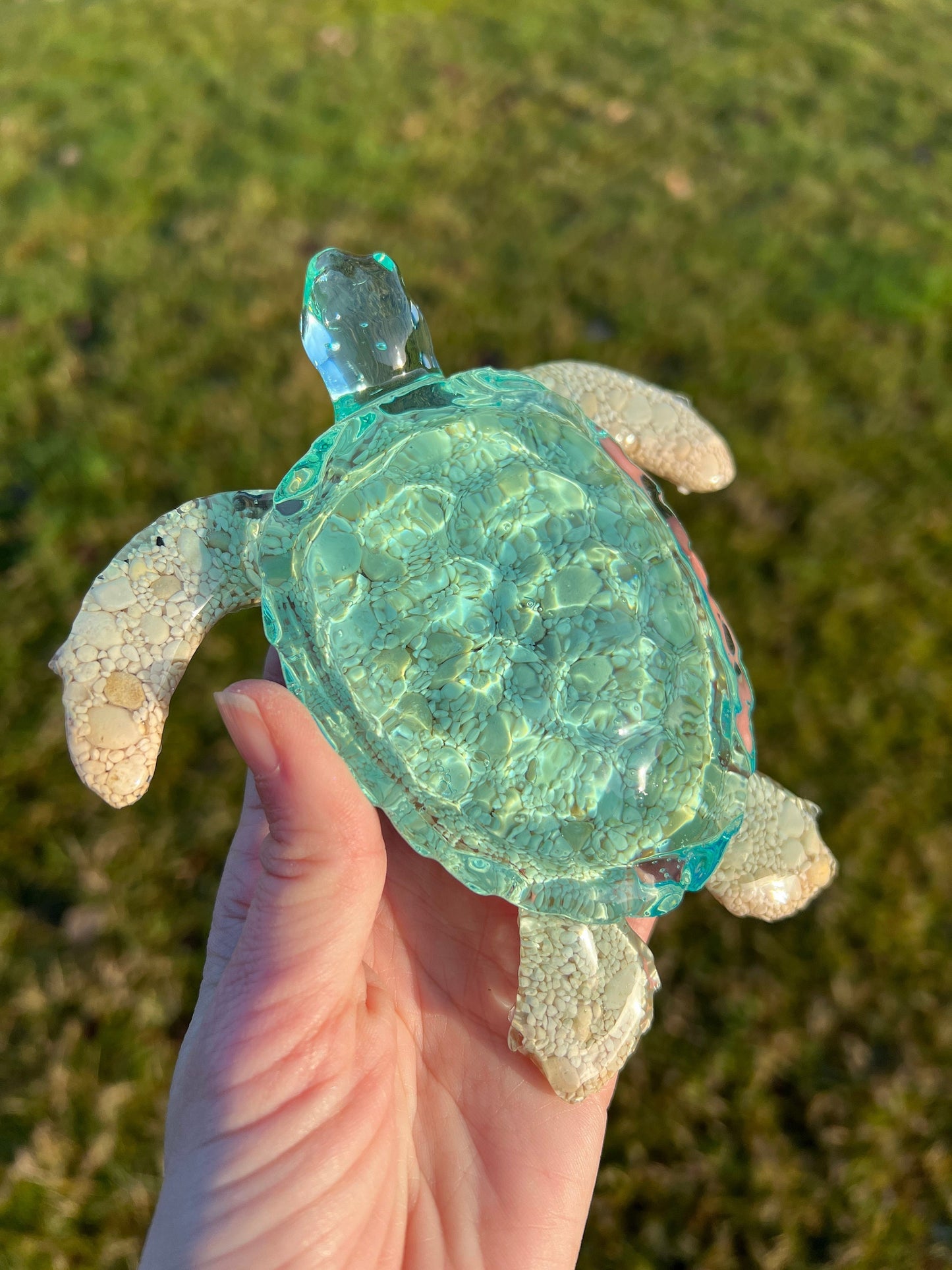 Ocean Turtle -X- large