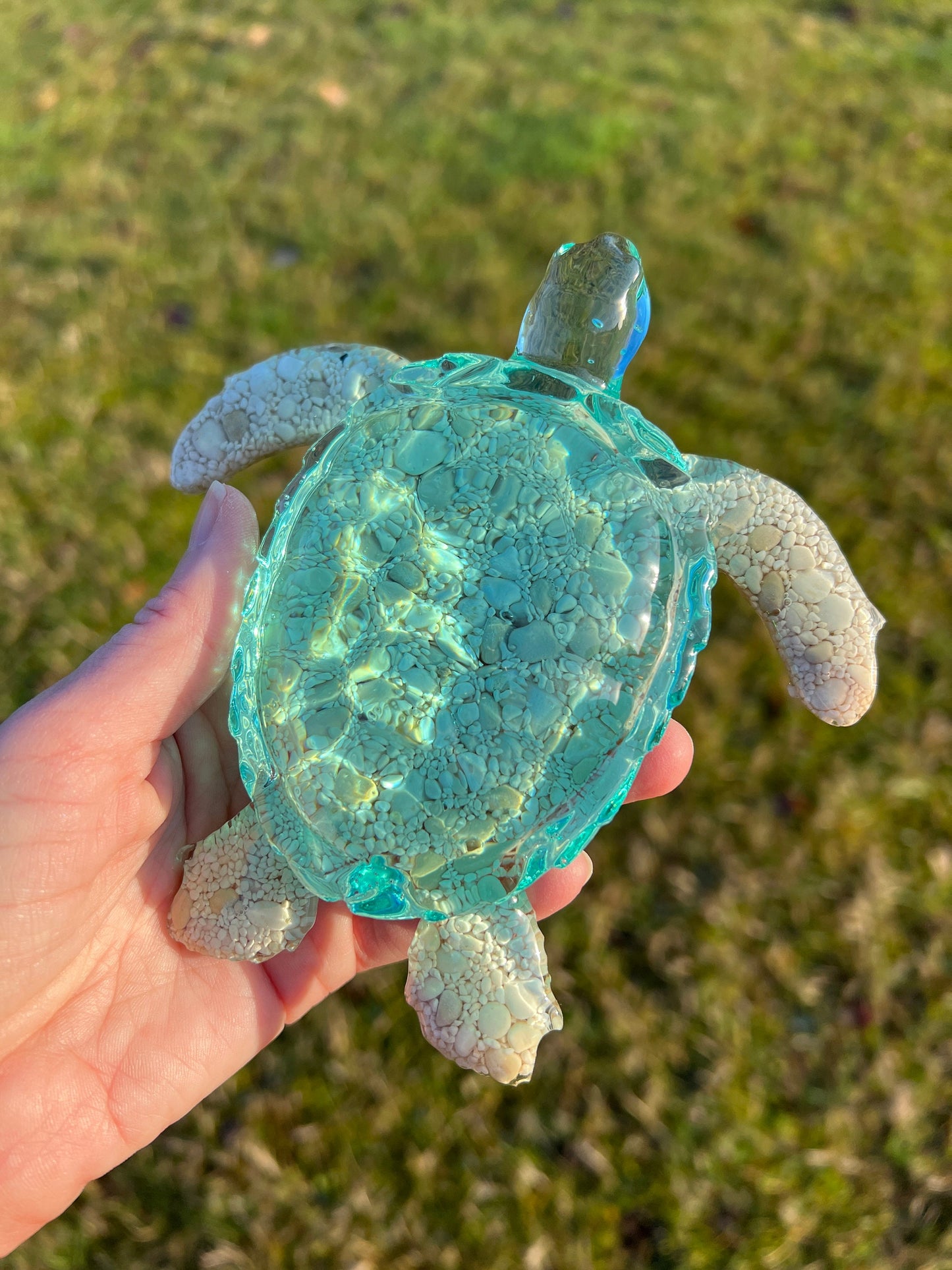 Ocean Turtle -X- large