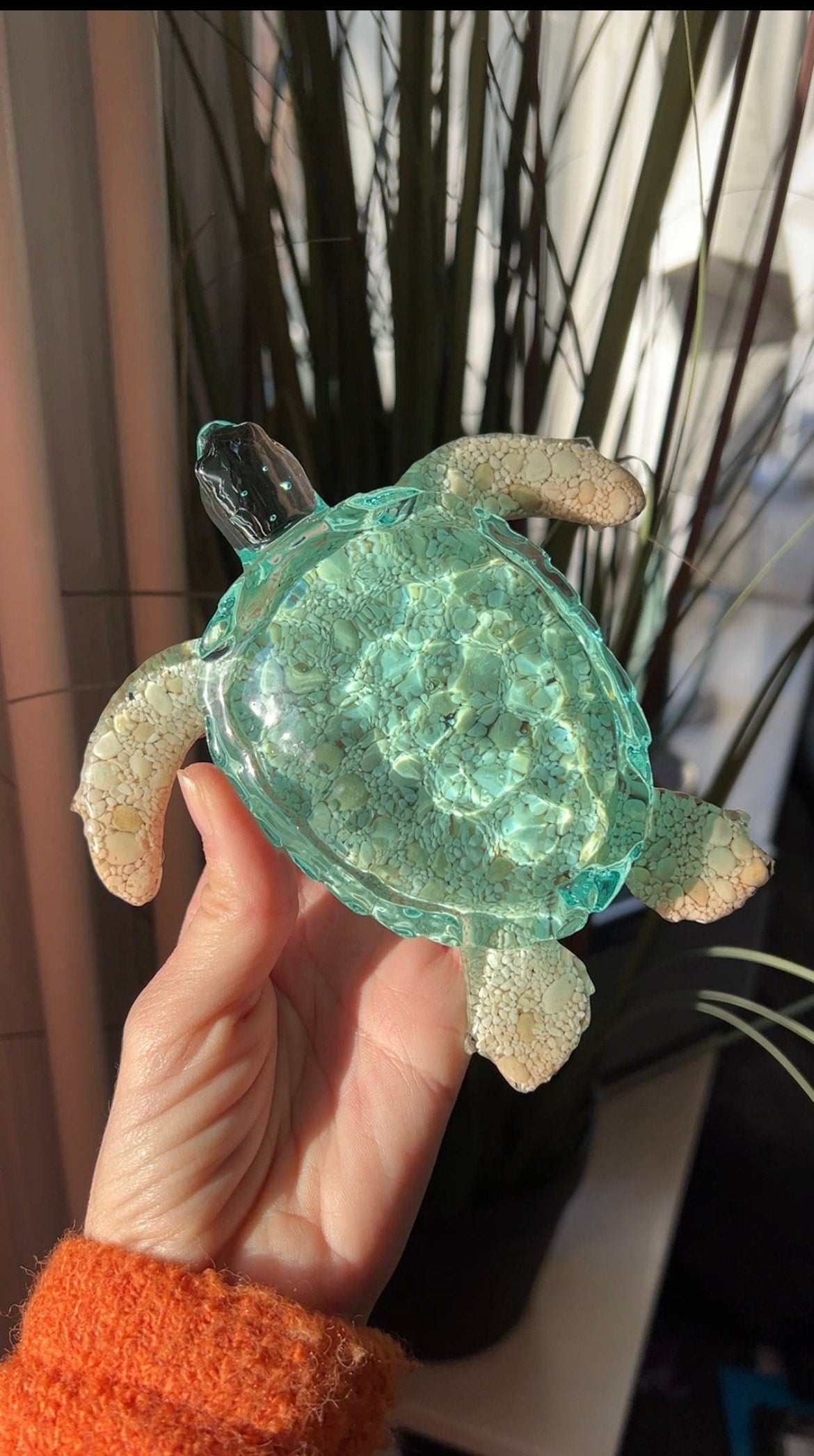 Ocean Turtle -X- large