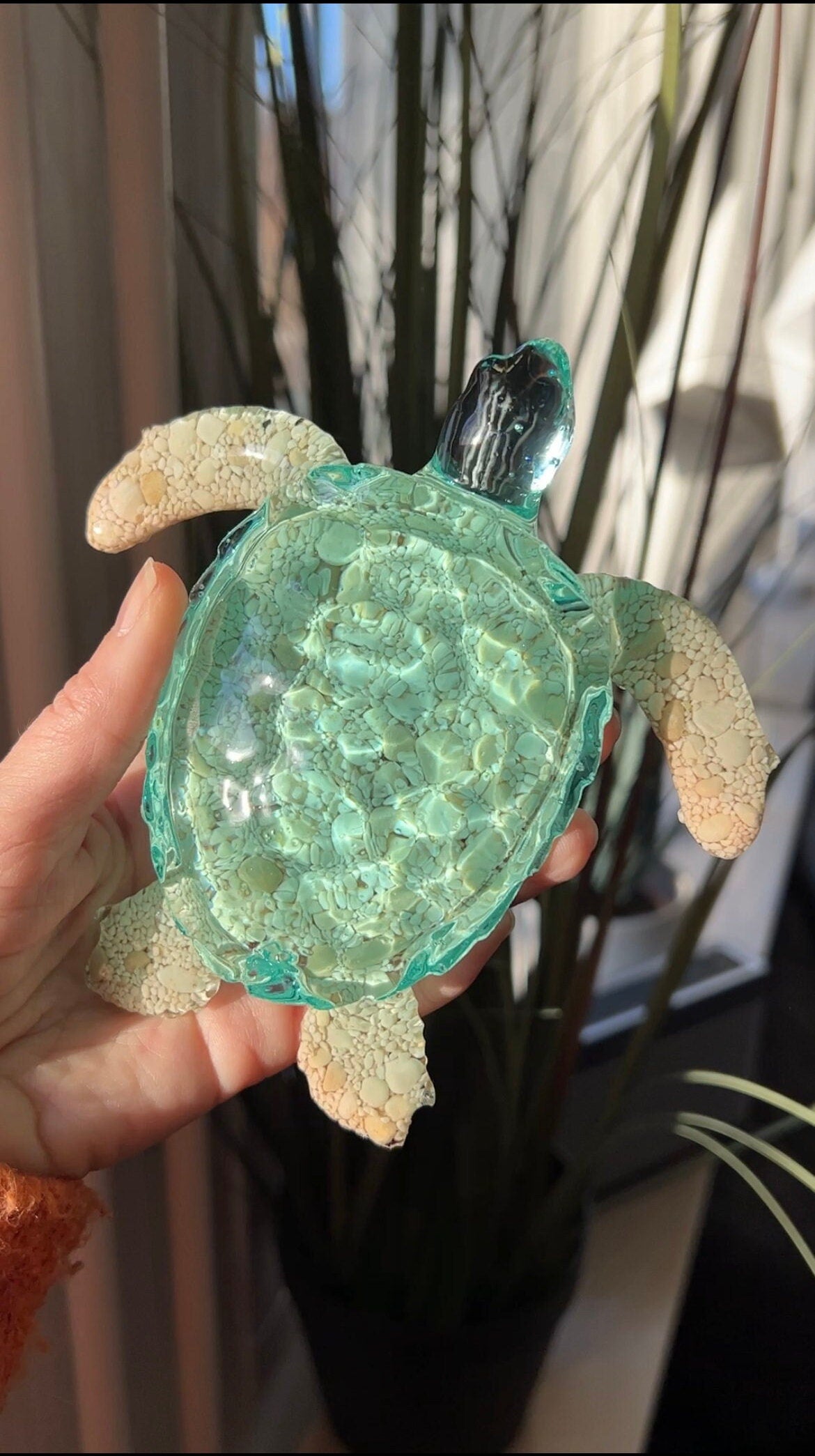 Ocean Turtle -X- large