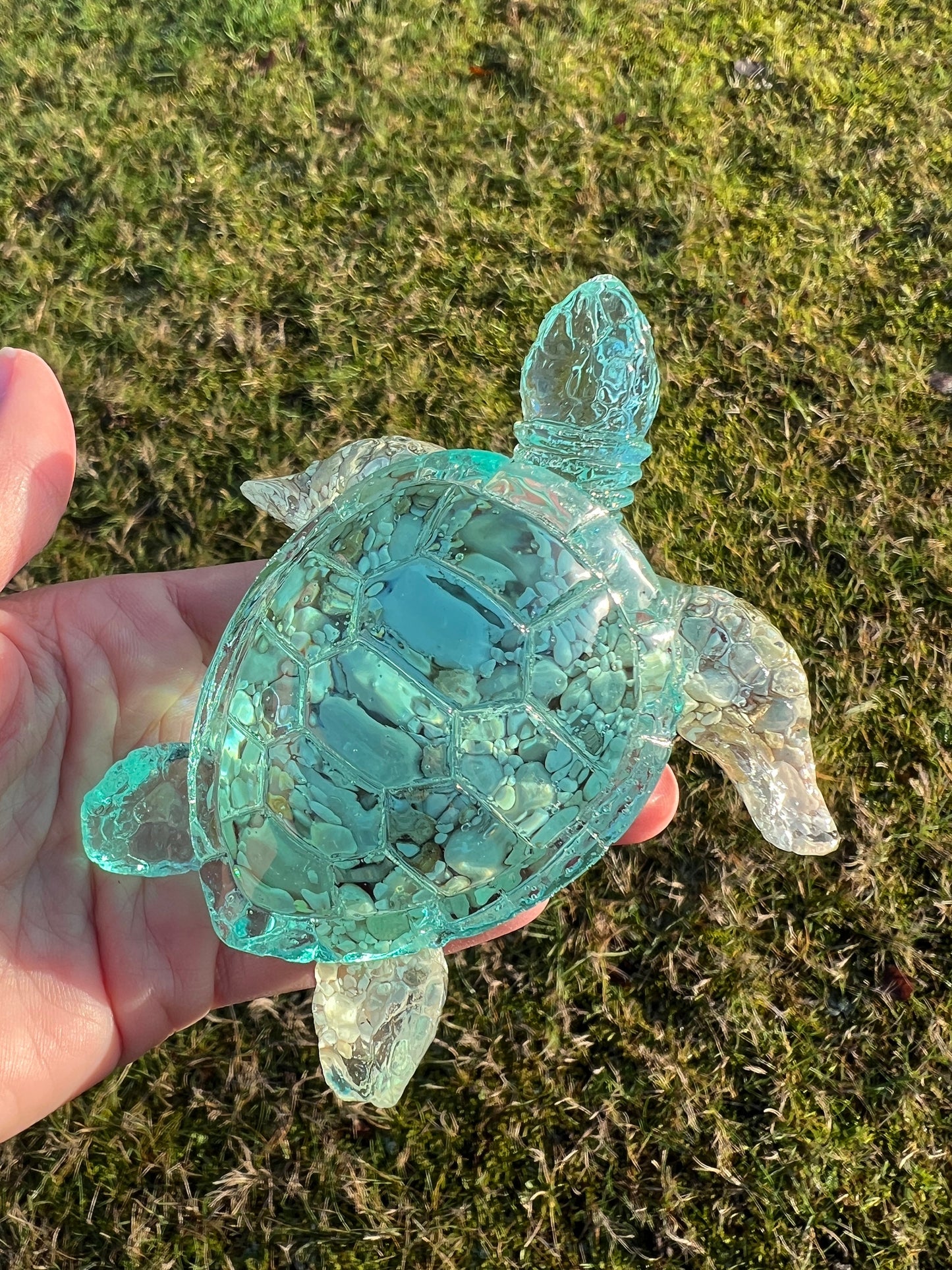 Ocean Turtle - large