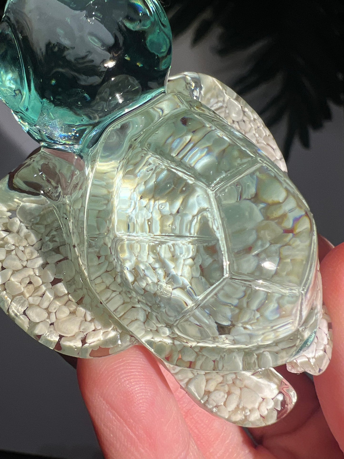 Ocean Sand Turtle