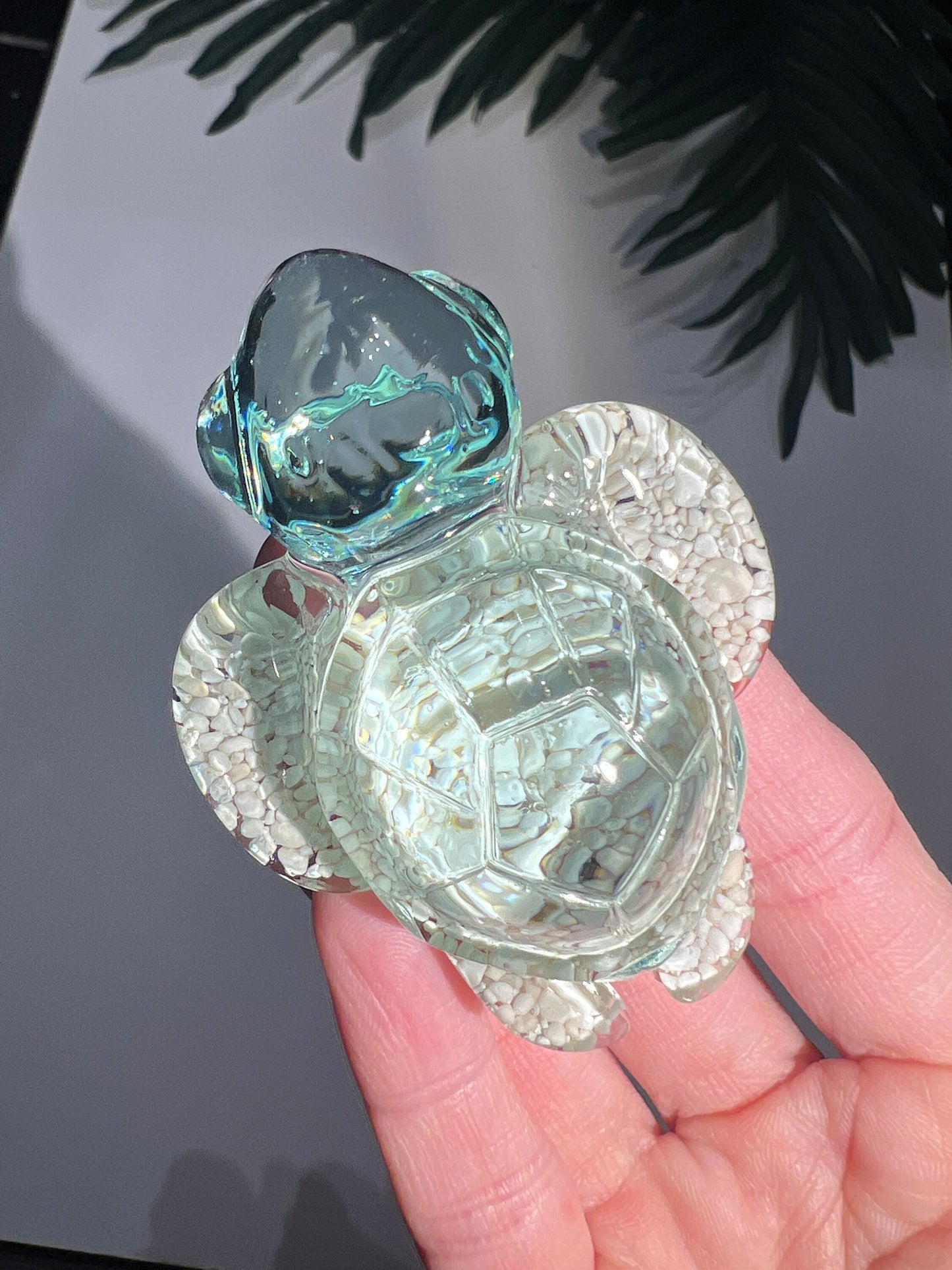 Ocean Sand Turtle