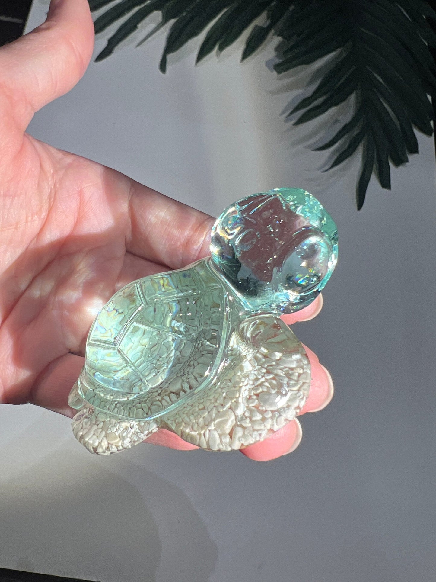 Ocean Sand Turtle