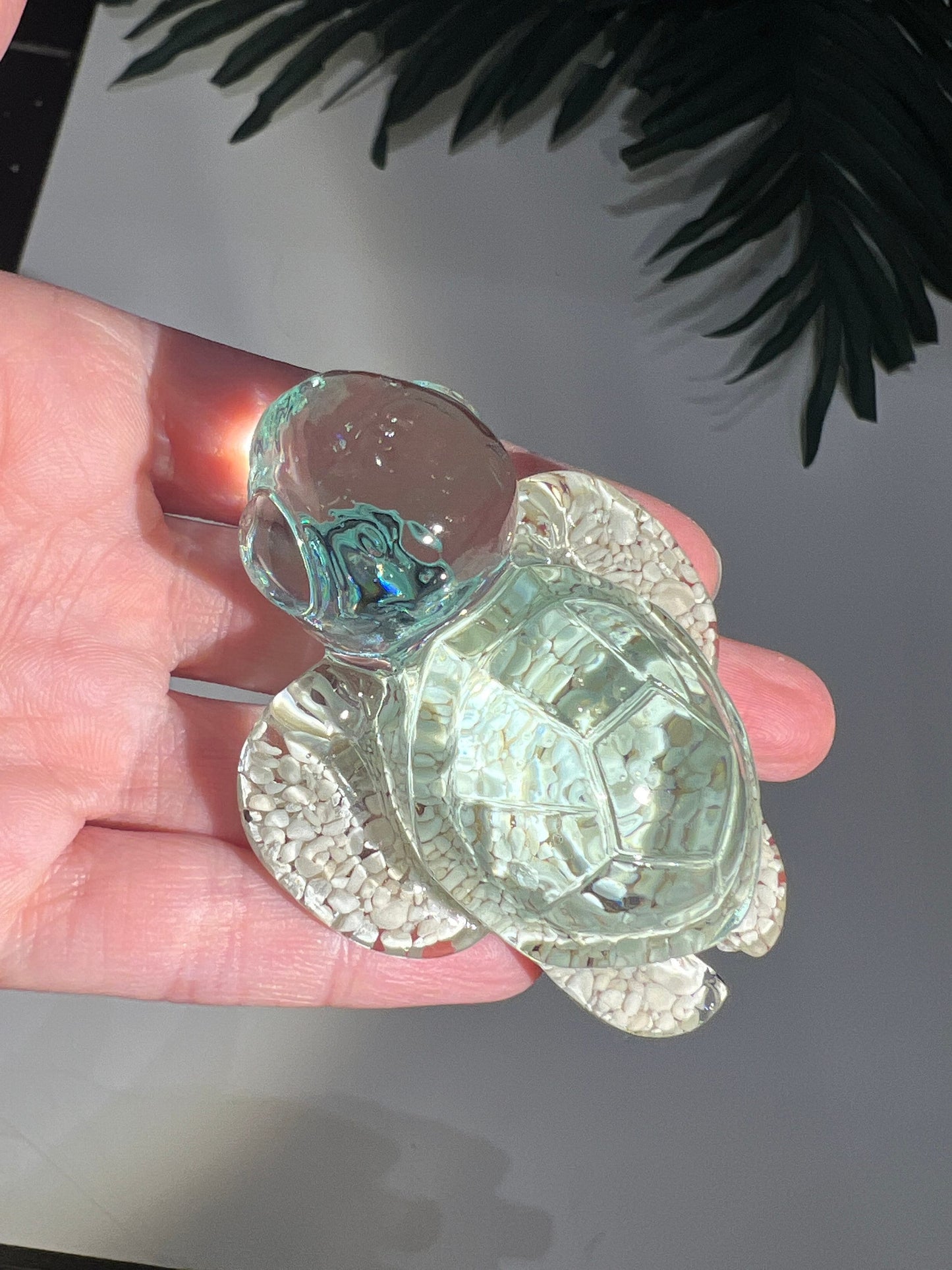 Ocean Sand Turtle