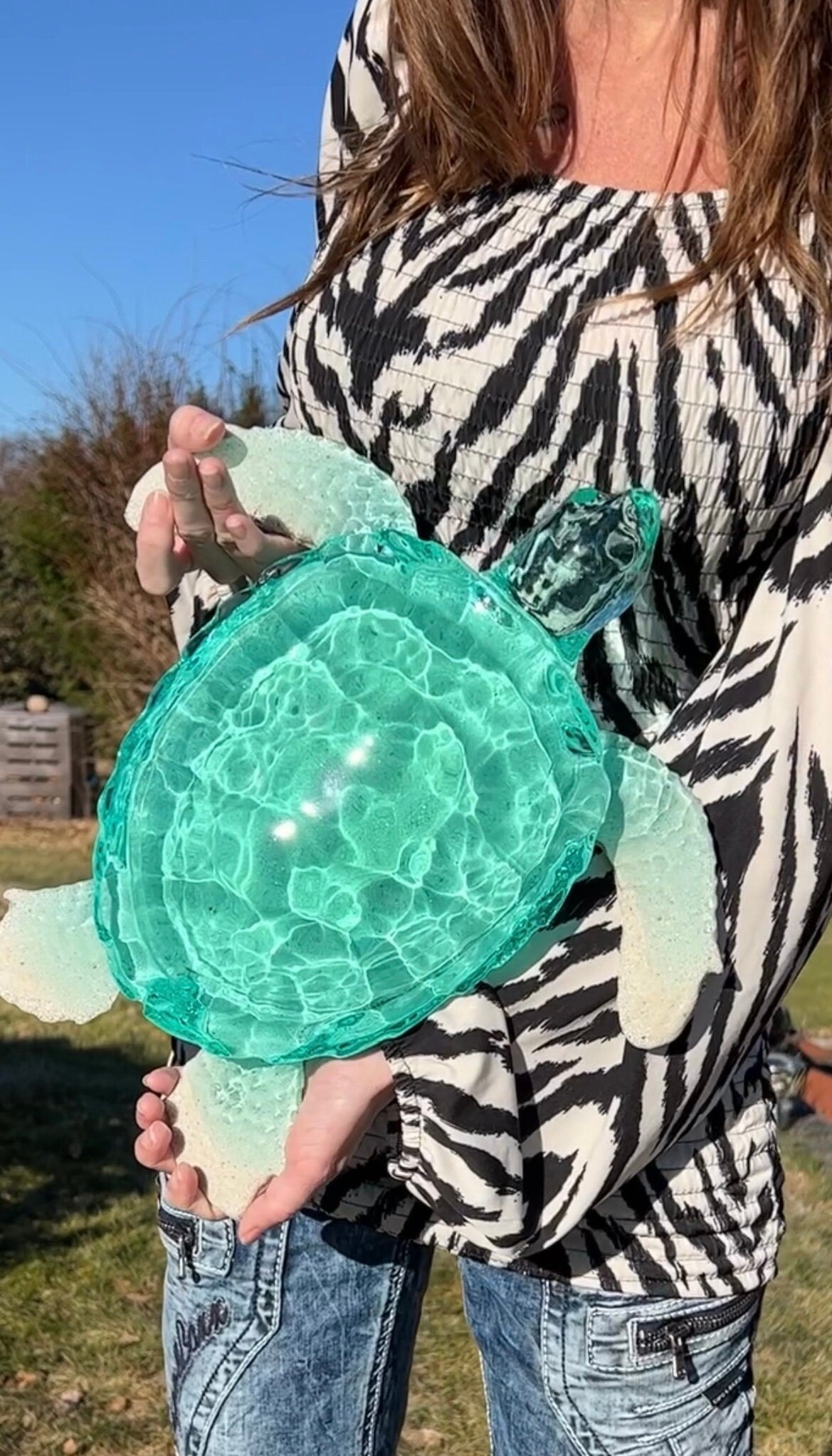 Gigantisk Havssköldpadda - 36 cm