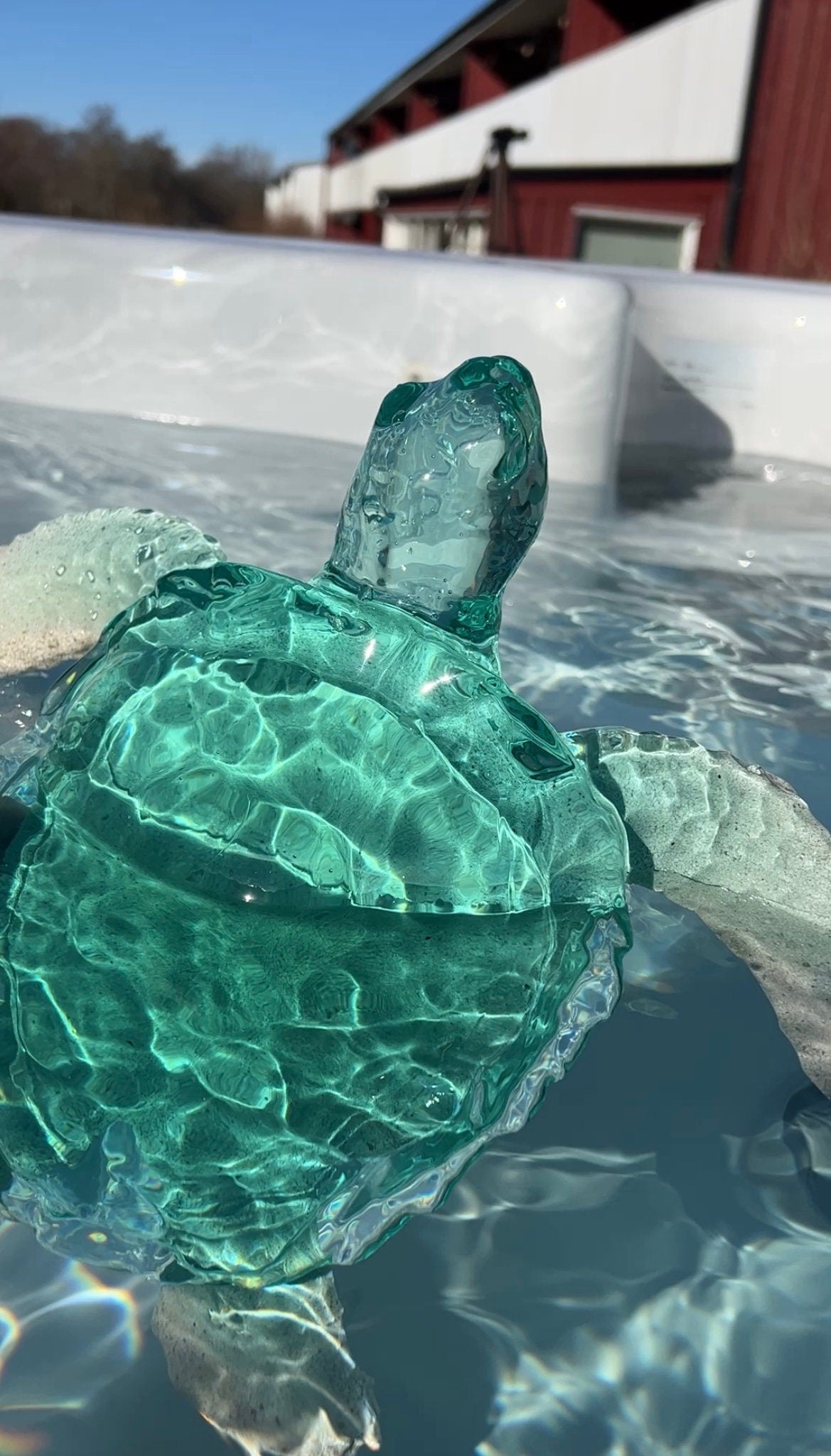 GIANT turtle silicone mold / Resin mold