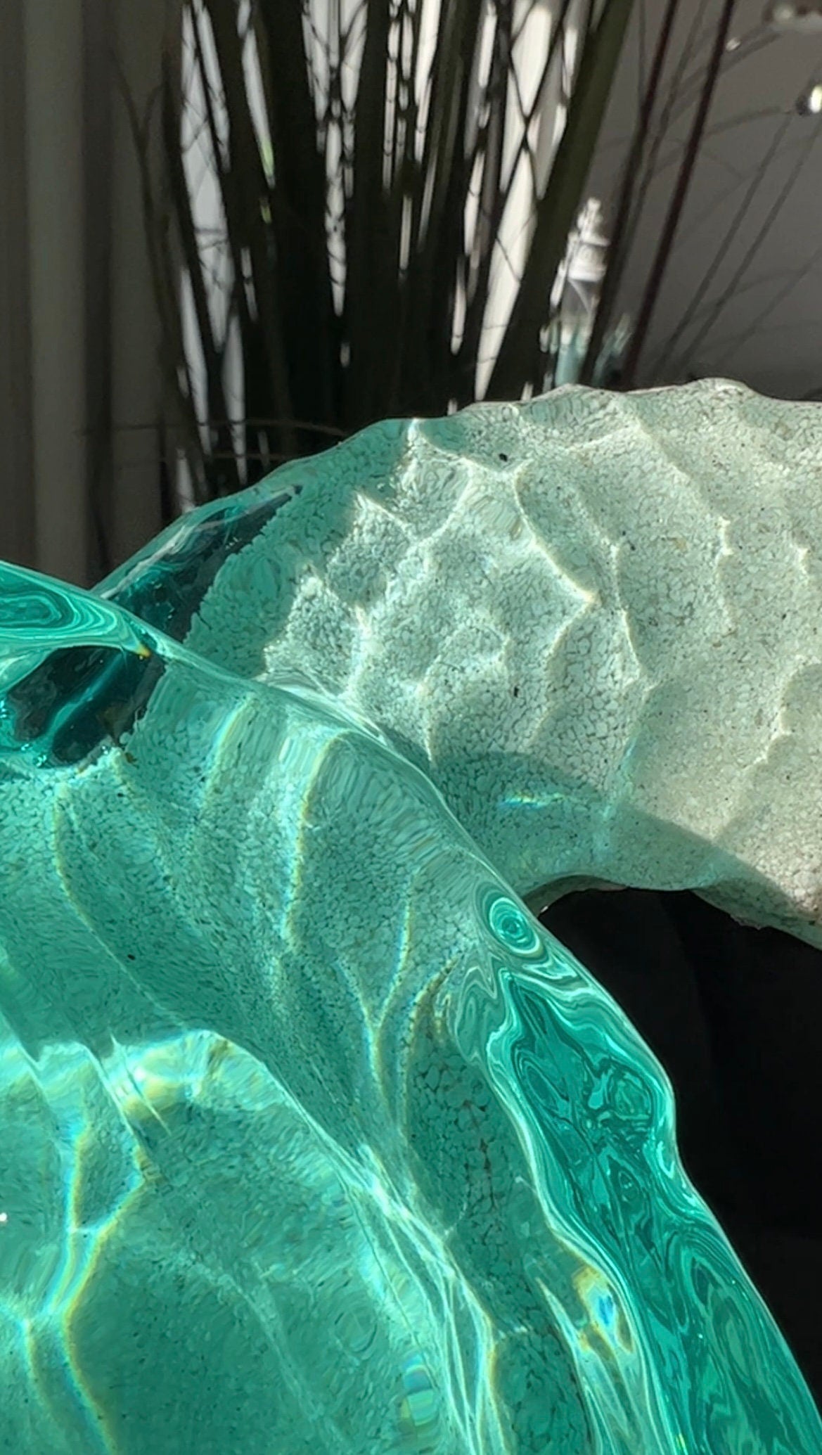 GIANT turtle silicone mold / Resin mold