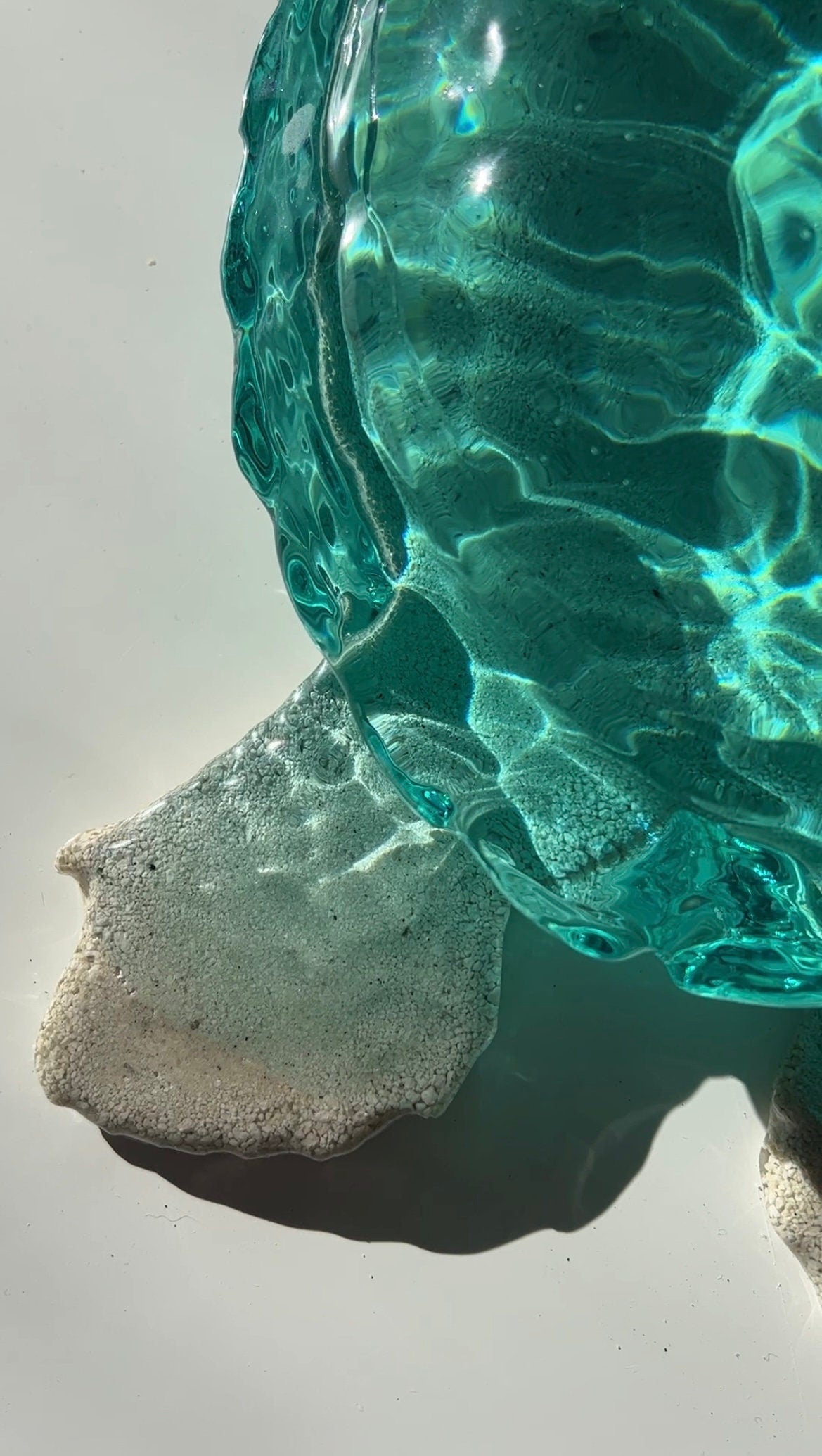 GIANT turtle silicone mold / Resin mold