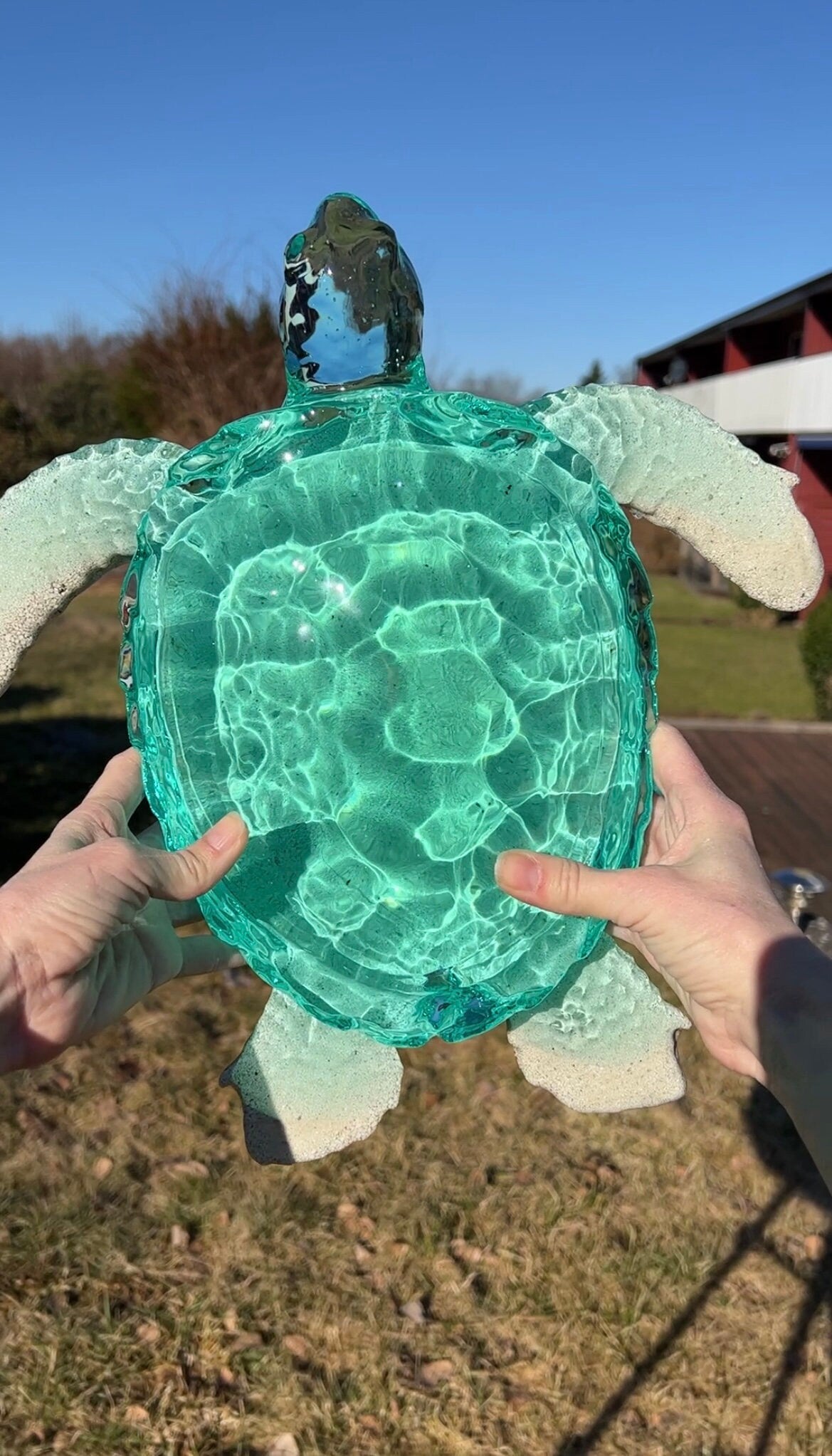 Gigantisk Havssköldpadda - 36 cm