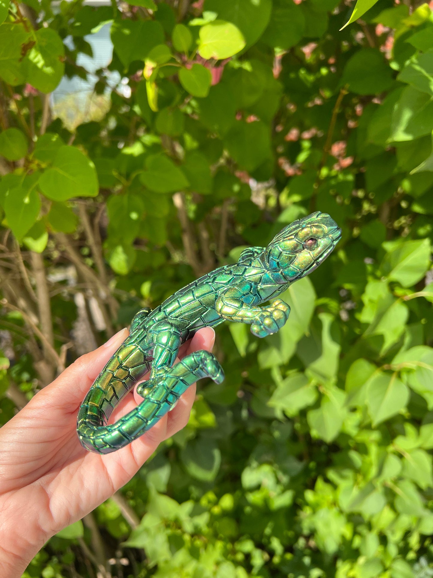 Stor grön gecko/ödla