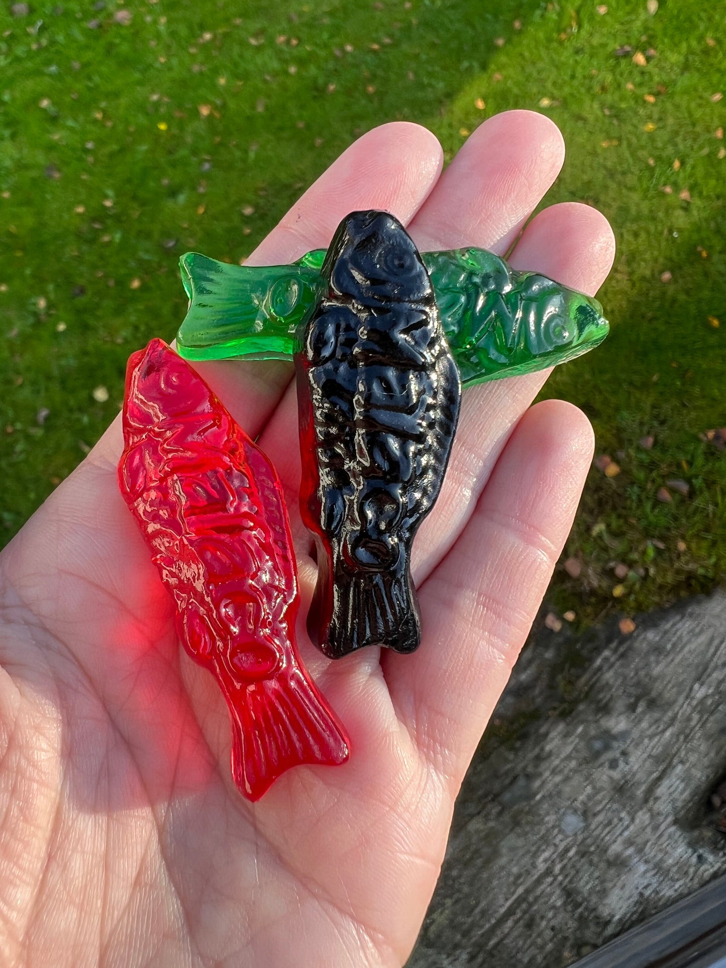 2 candy fish silicone molds / Resin mold