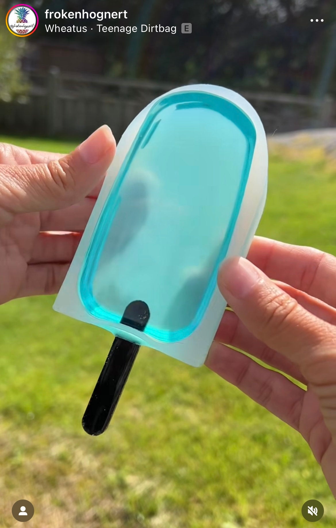 Popsicle silicone mold / Resin mold